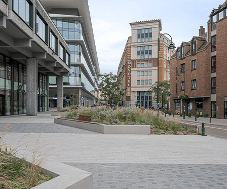 The New Look of Brucity