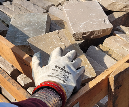 Multistakeholderdialoog Rajasthan 2025