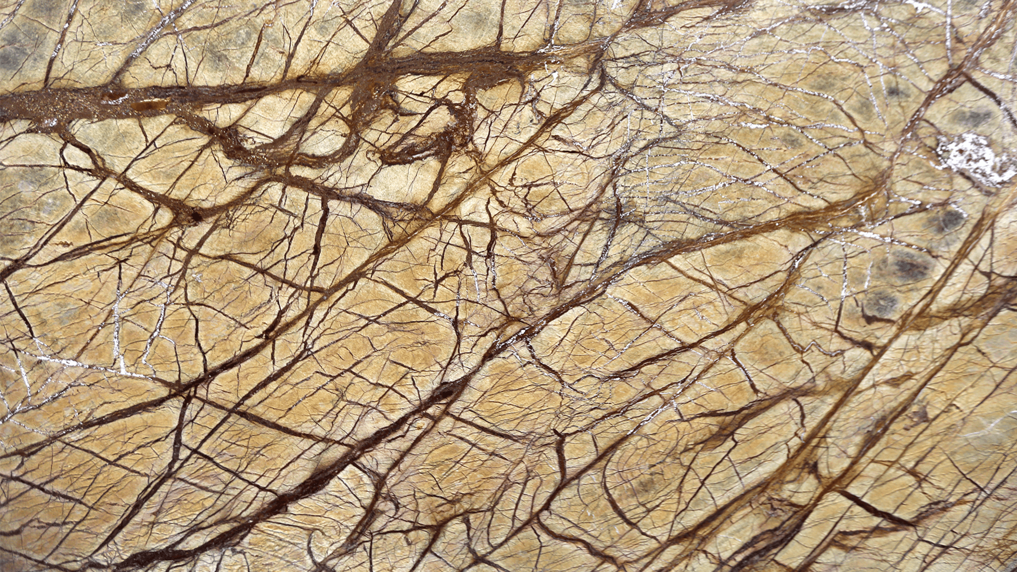 materialImage43e44819-afd3-46db-96b6-14ea44b3f6a5