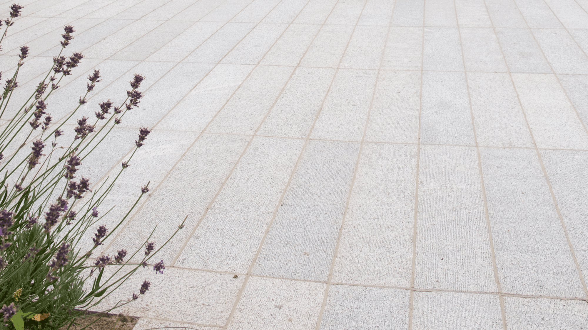 materialImagec485a70c-c3b4-4a53-bf32-364d541bf06d