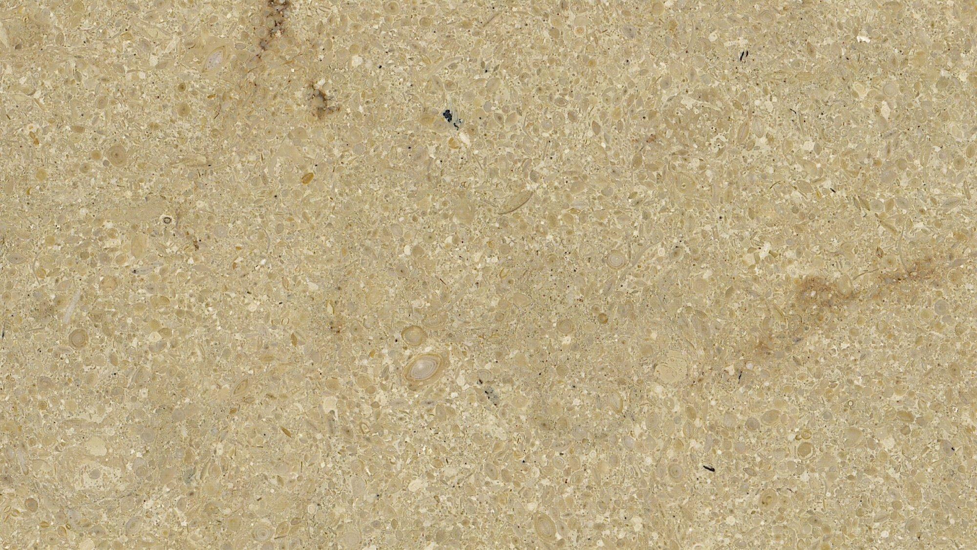 materialImage02bb916c-602d-4a69-9d3b-640da38e869a