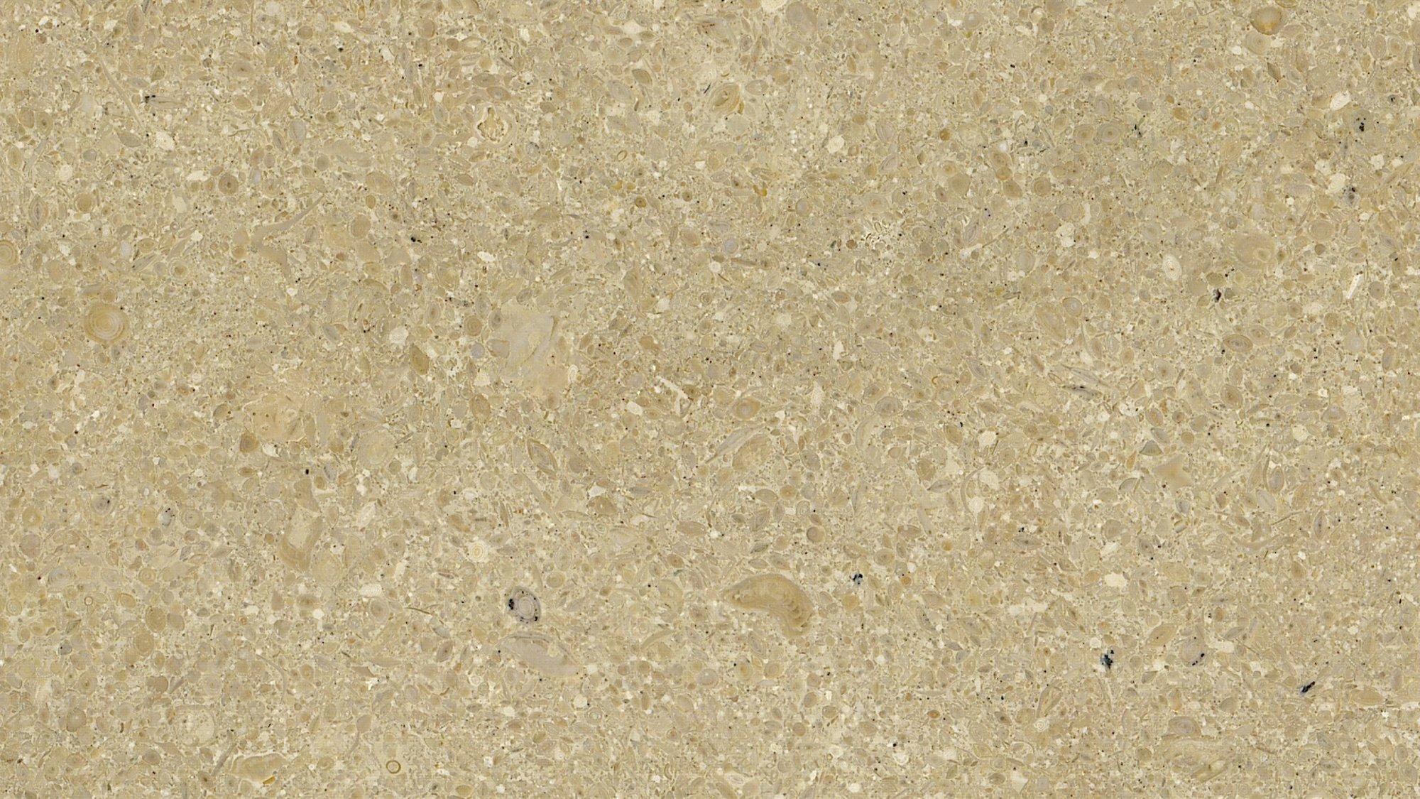 materialImage51211f89-89f2-44ab-a880-01b9ae1f6448
