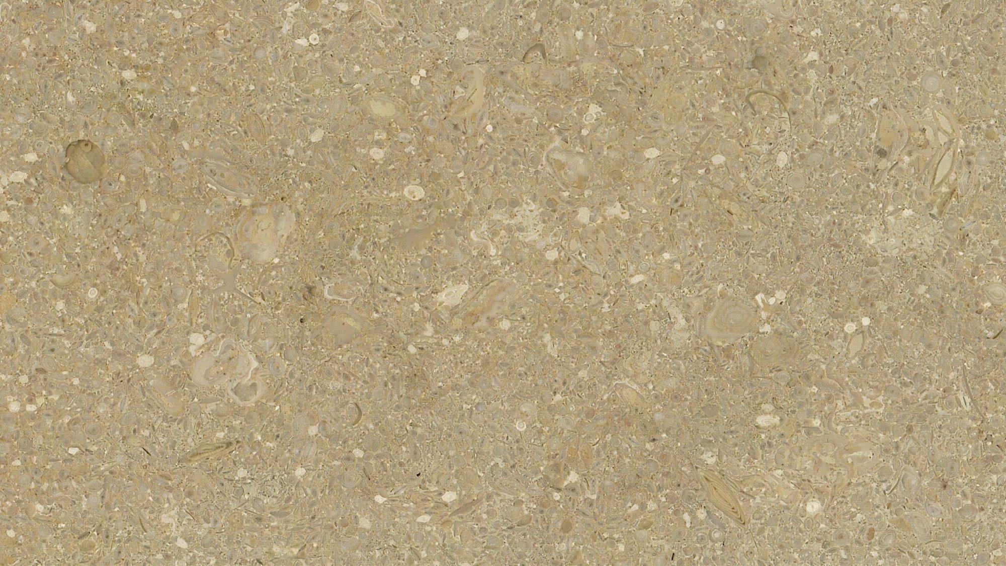 materialImageb54e5ea6-152b-4b4c-bcff-004bc655e72f