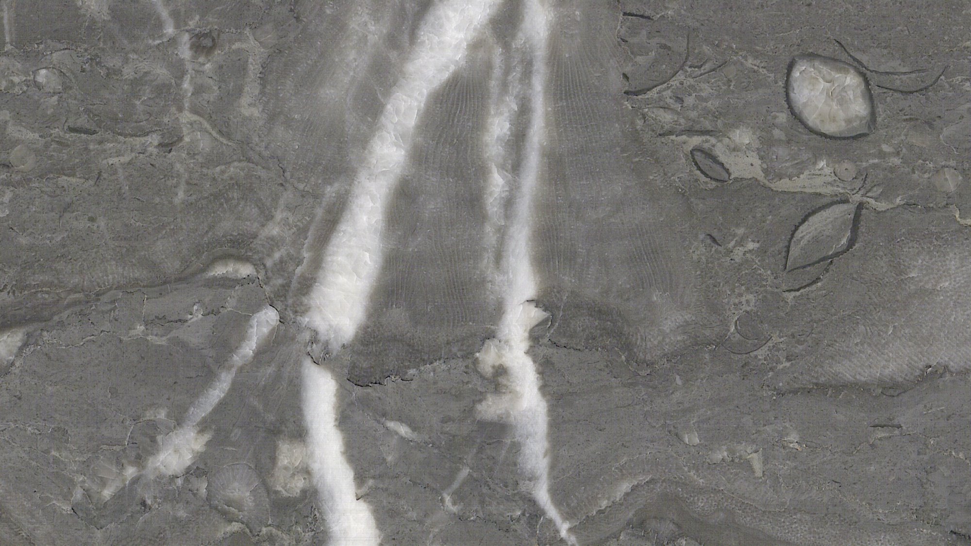 materialImageefdf12c3-872d-48d7-bdf2-ed30ad88a05e