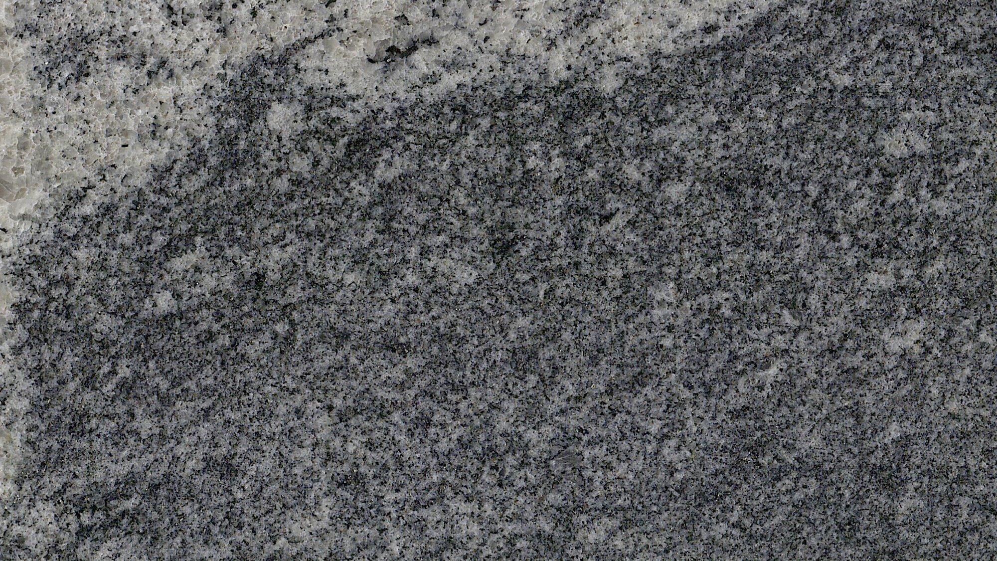 JURASSIC GREY