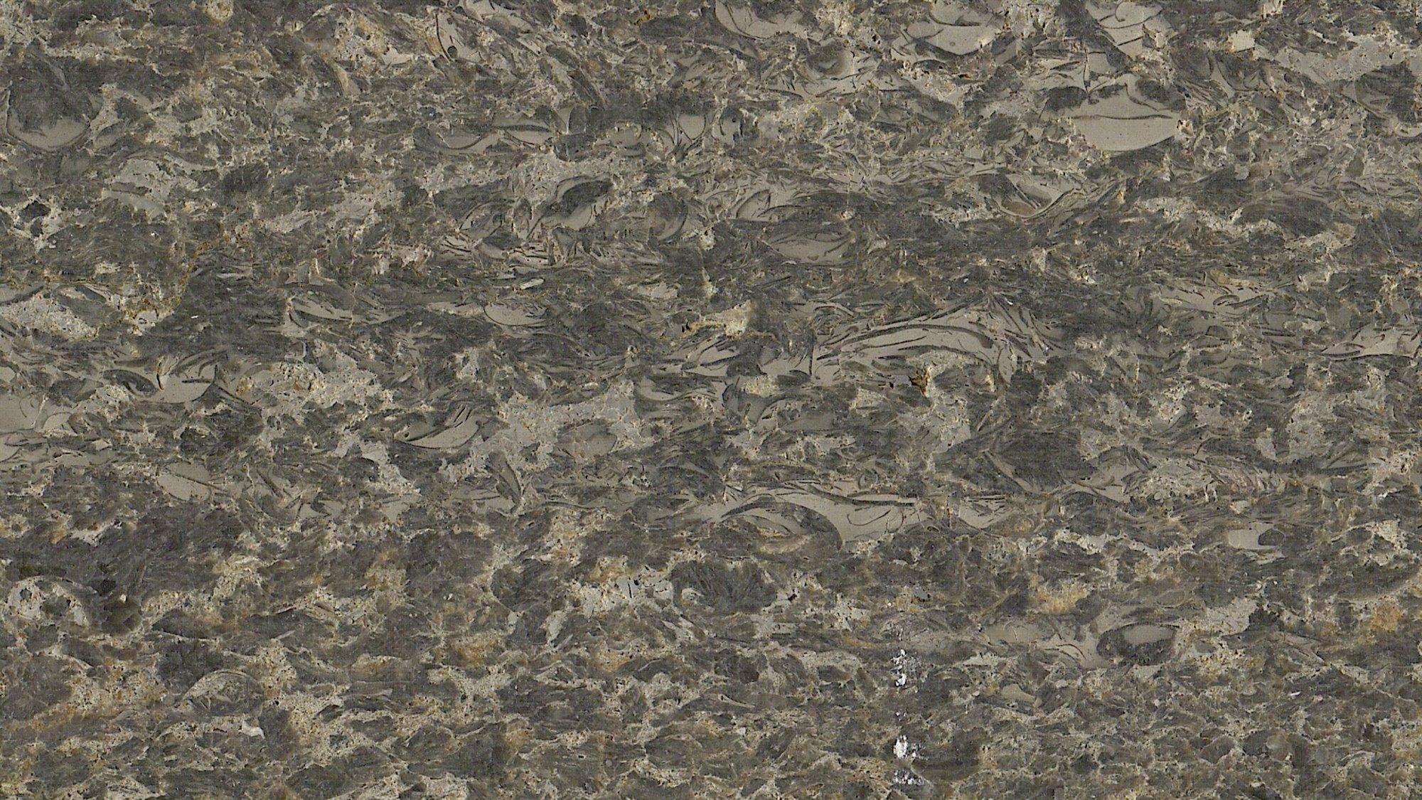 MUSCHELKALK VENATINO