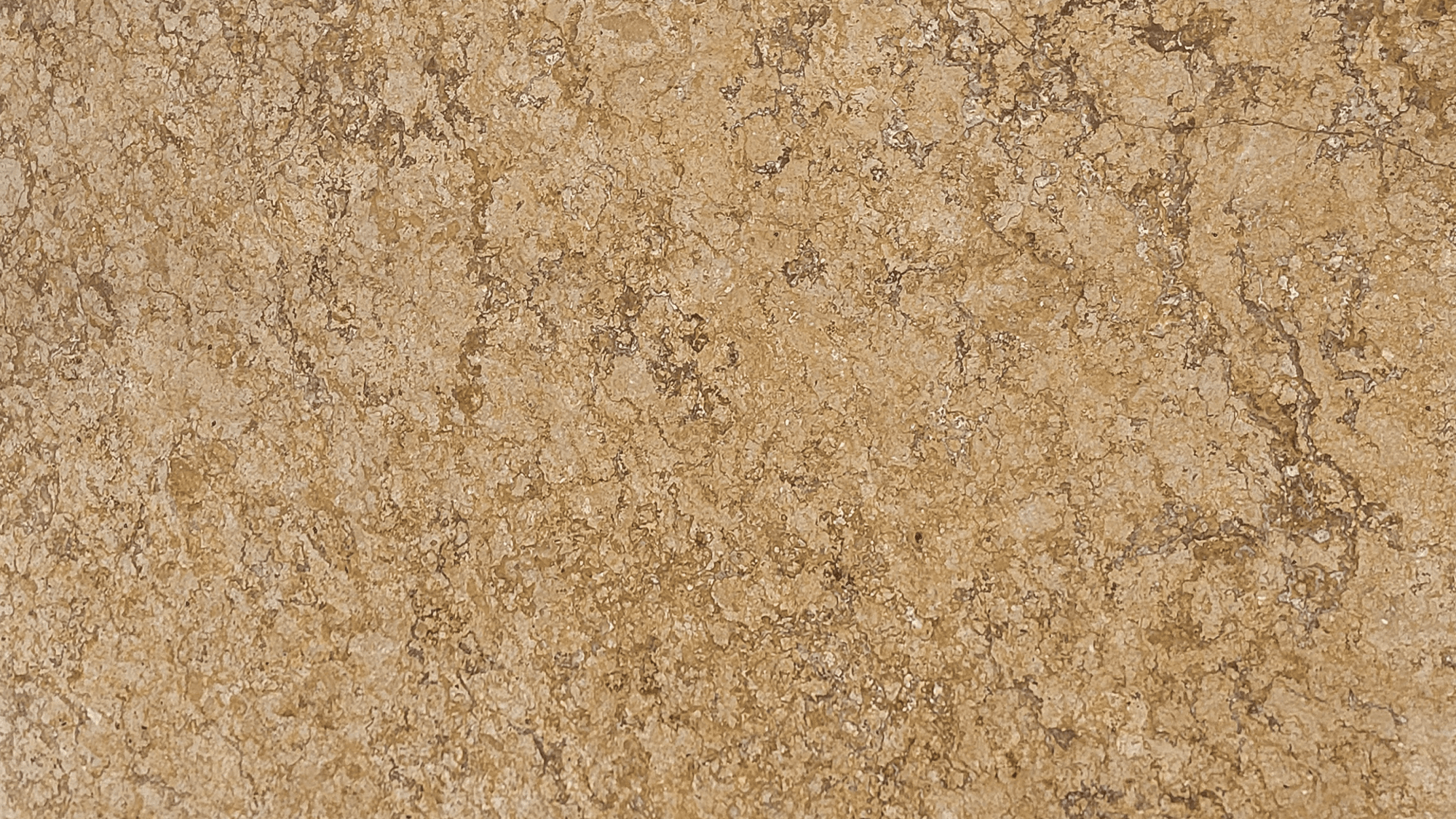 WALNUT_image_1