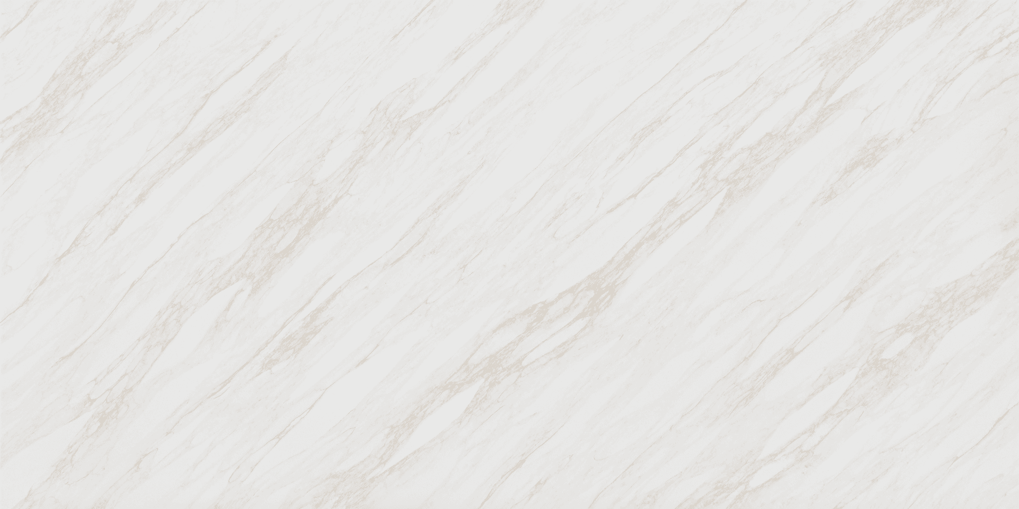 QXSIEN_image_1