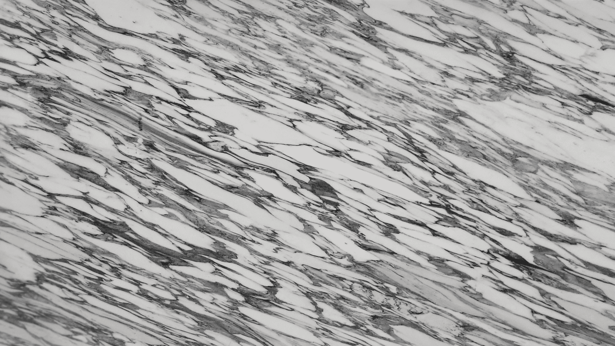 materialImage199054f1-d1cd-4908-b2e2-6cd19ab73ac0