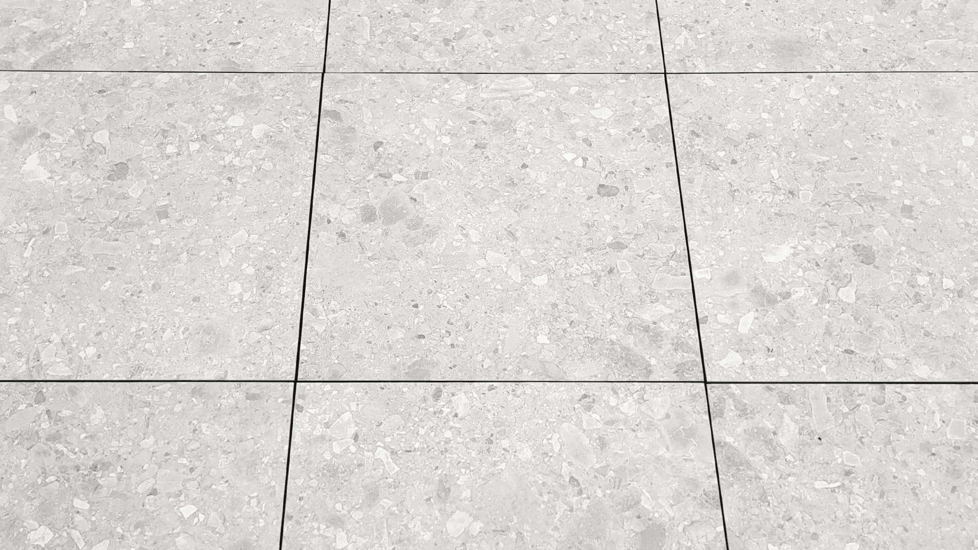 SCCEBE_image_0