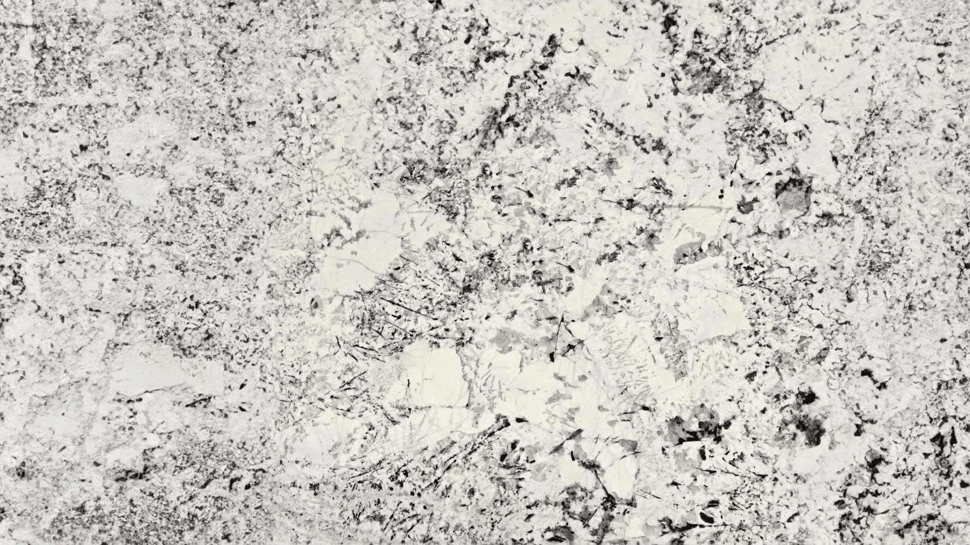 DELICATUS WHITE