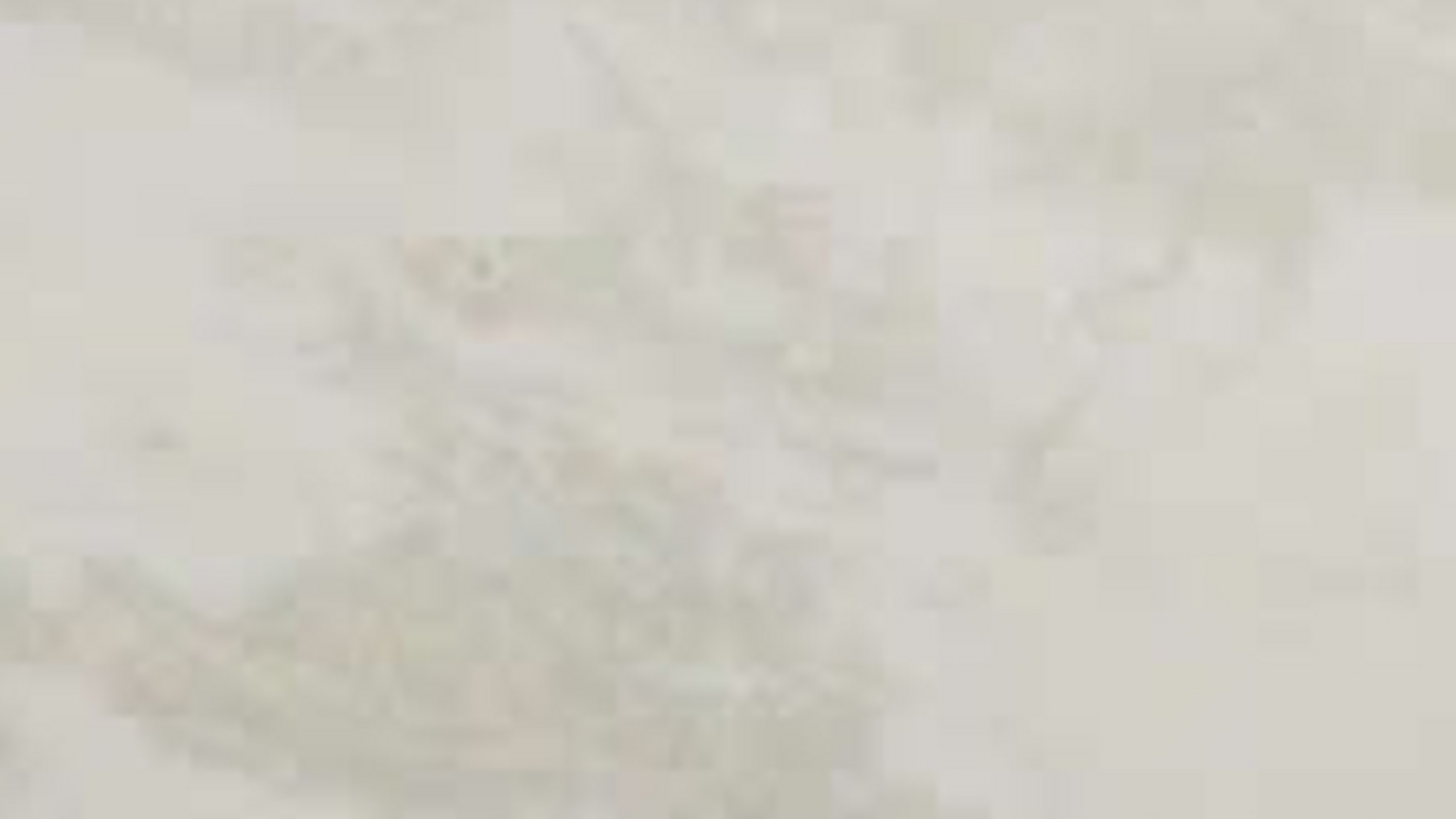 CALLUS_image_0