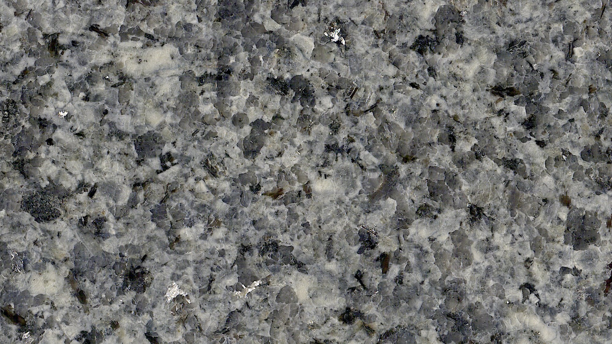APLATI_image_2