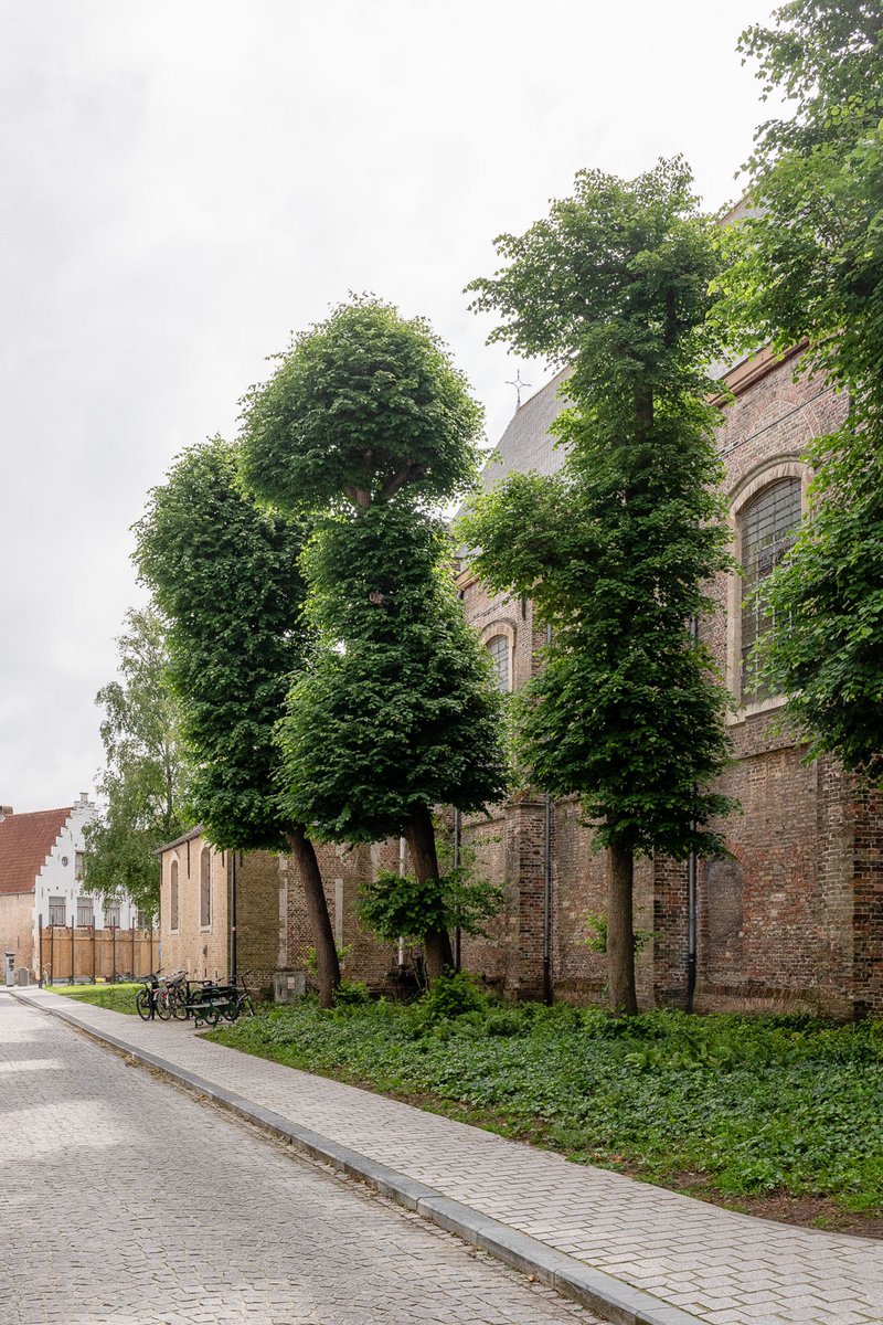 realisationImage9