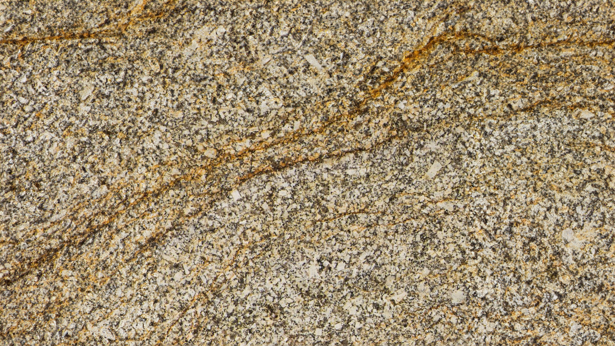 GOLDCO_image_0