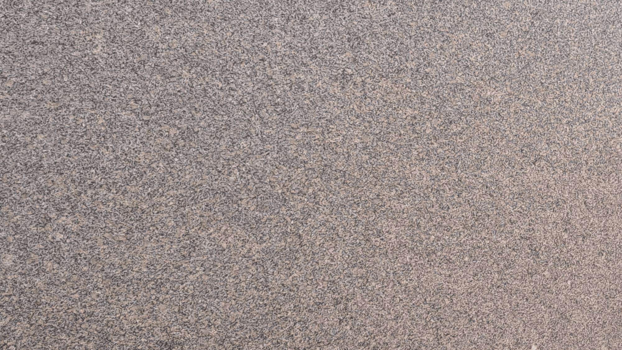 GRIS TOSSENE