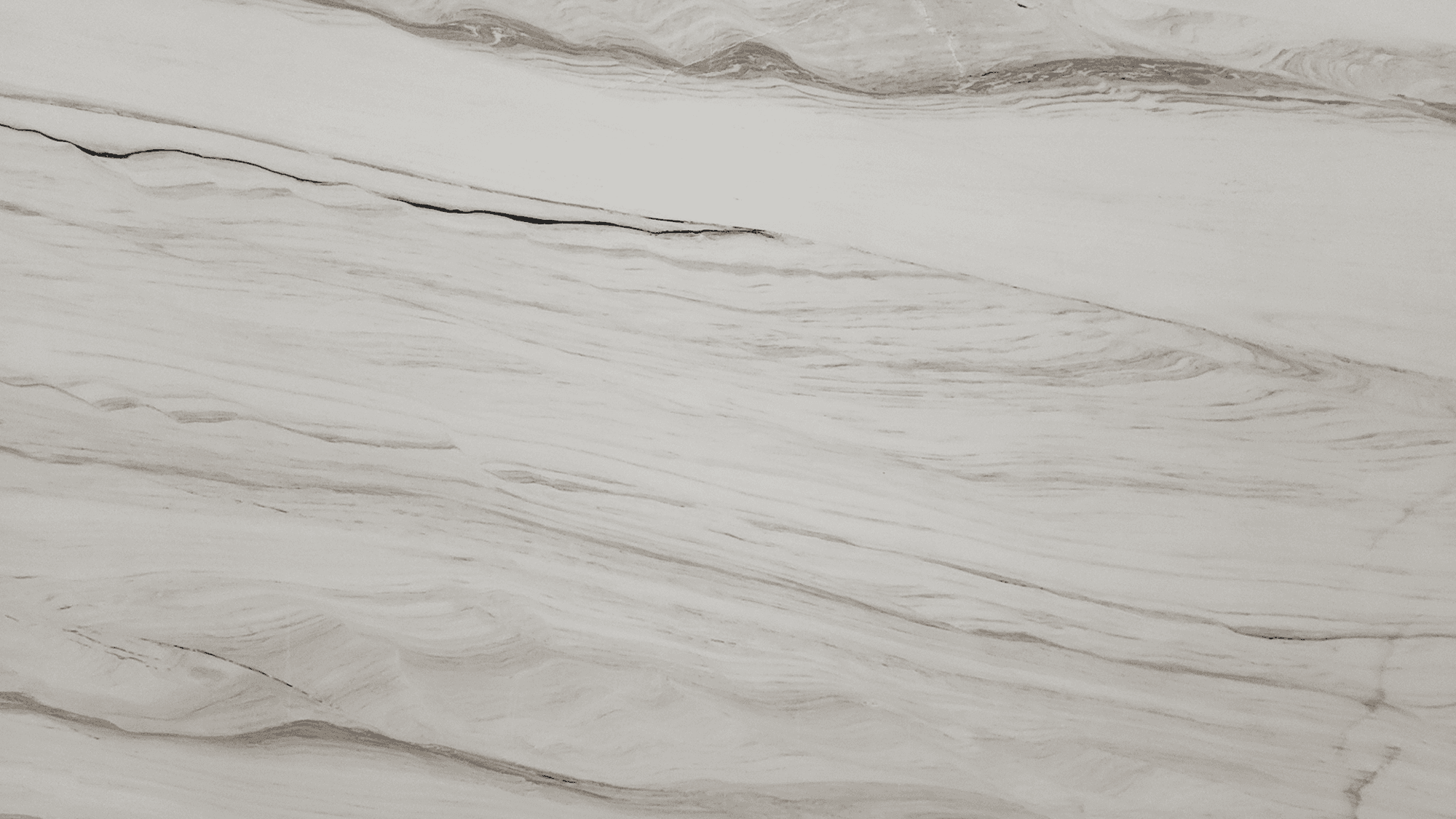 LASA WAVES