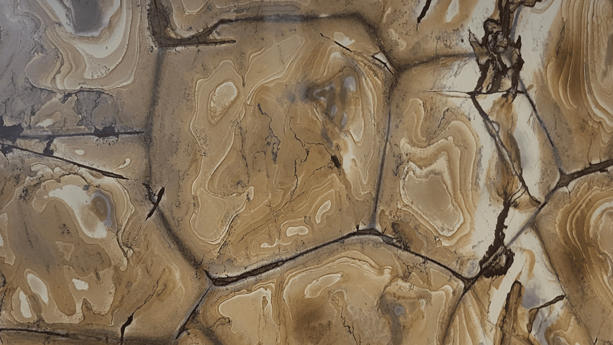 materialImage6ffdbd5e-e4cc-4ceb-b3cc-803dc6e3d907