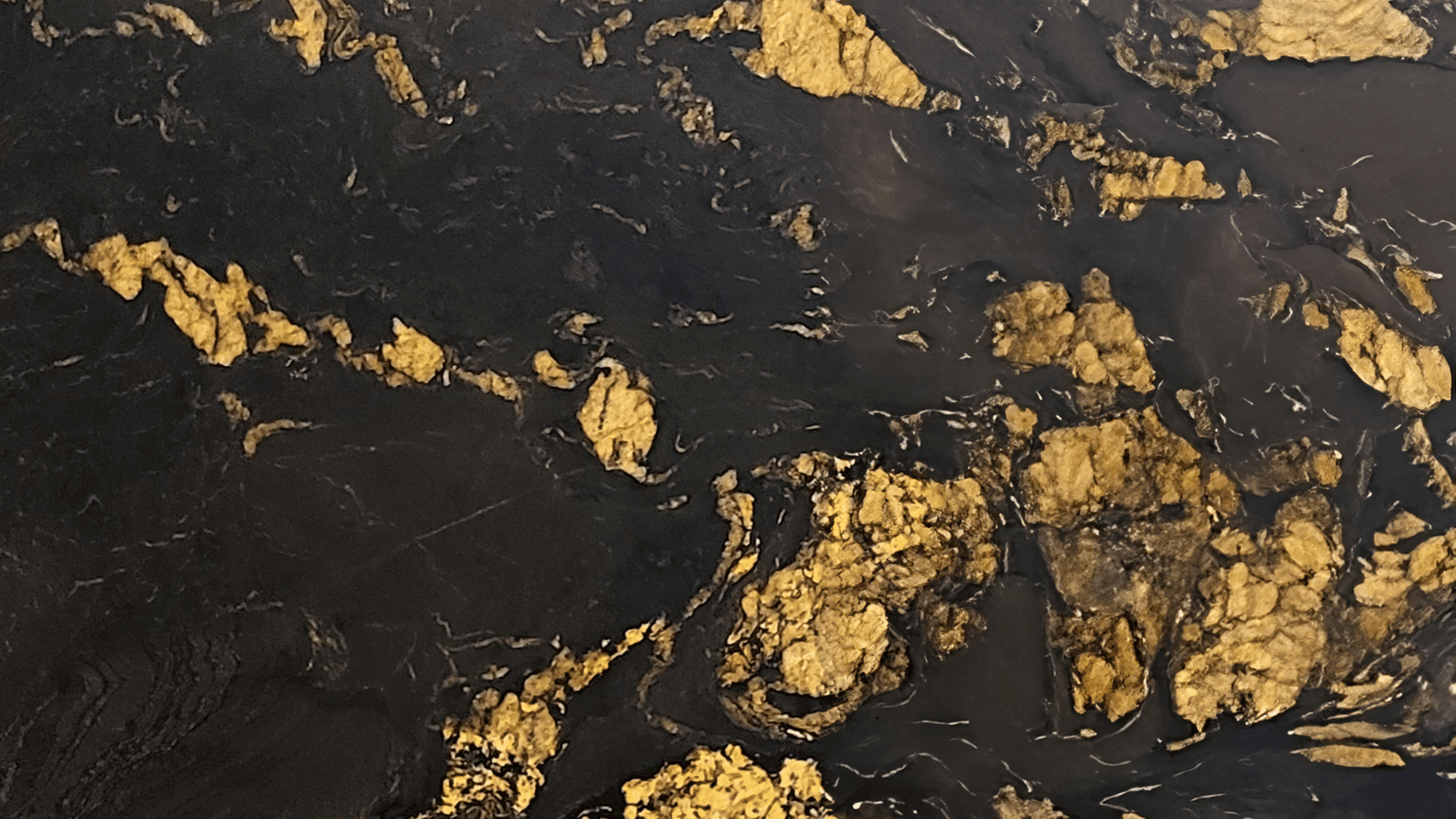 materialImage58a349a2-96a9-4a1c-b1bc-b0cae63bbffc
