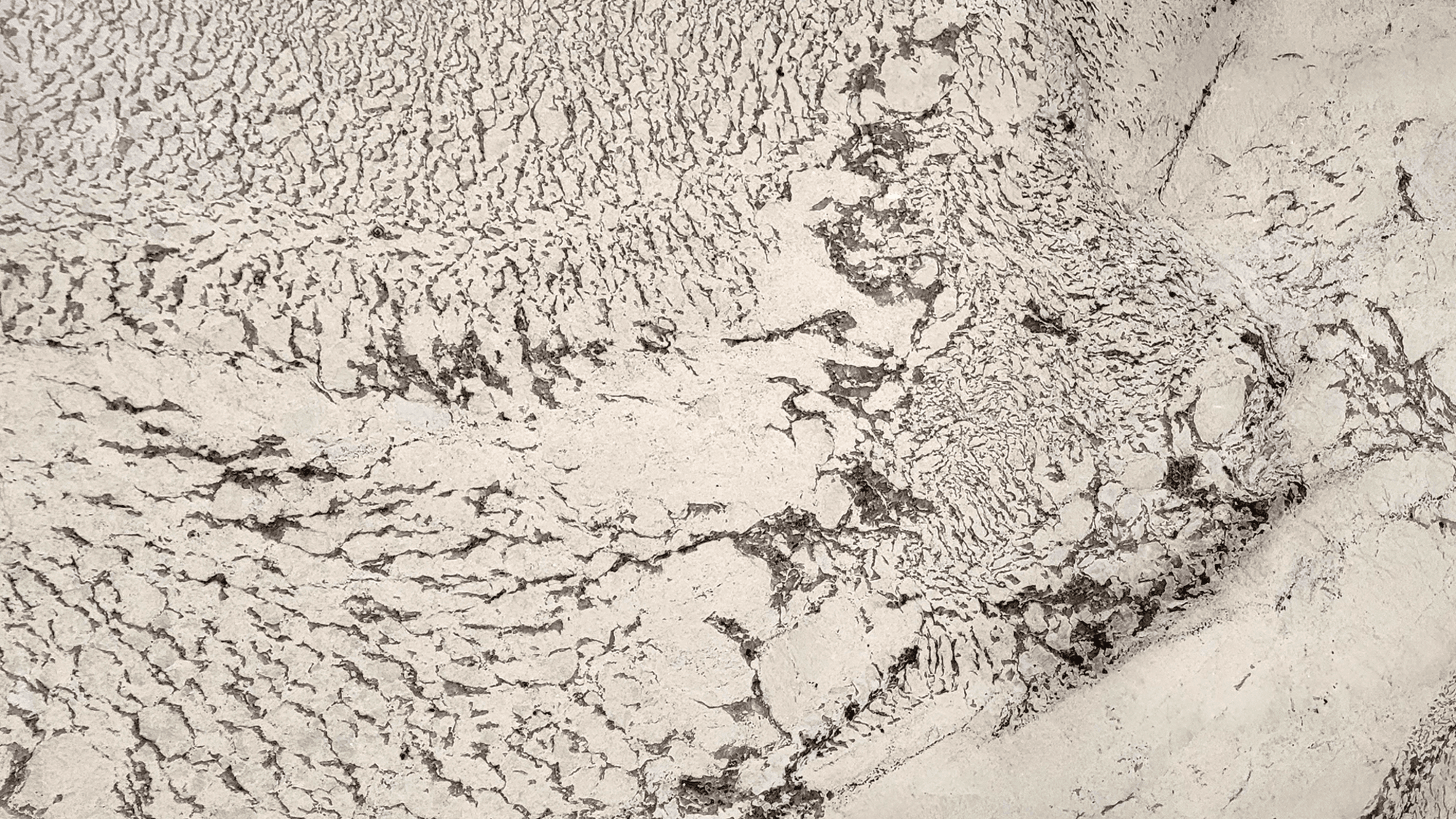 ALPNUS_image_1