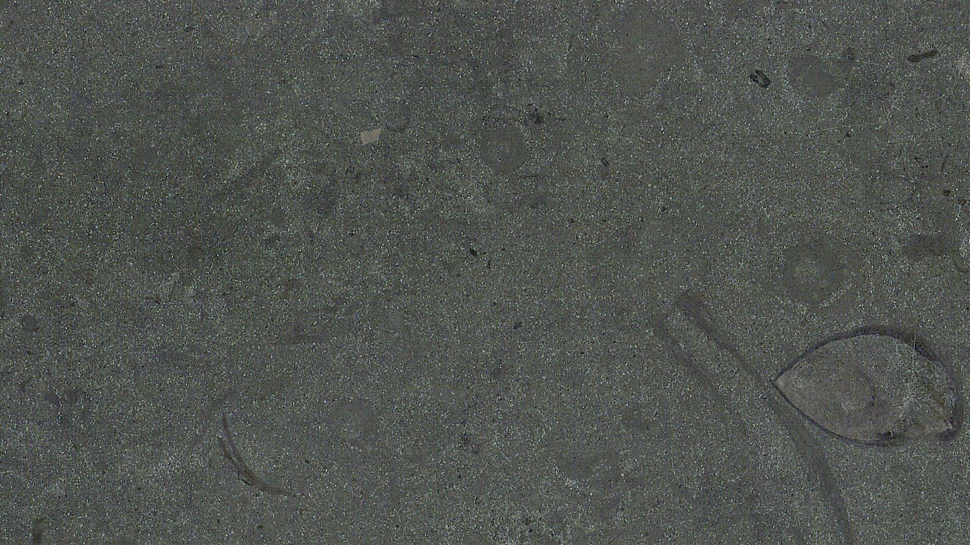 materialImagec704a062-0cd0-4d97-8307-bd2b27b3b009