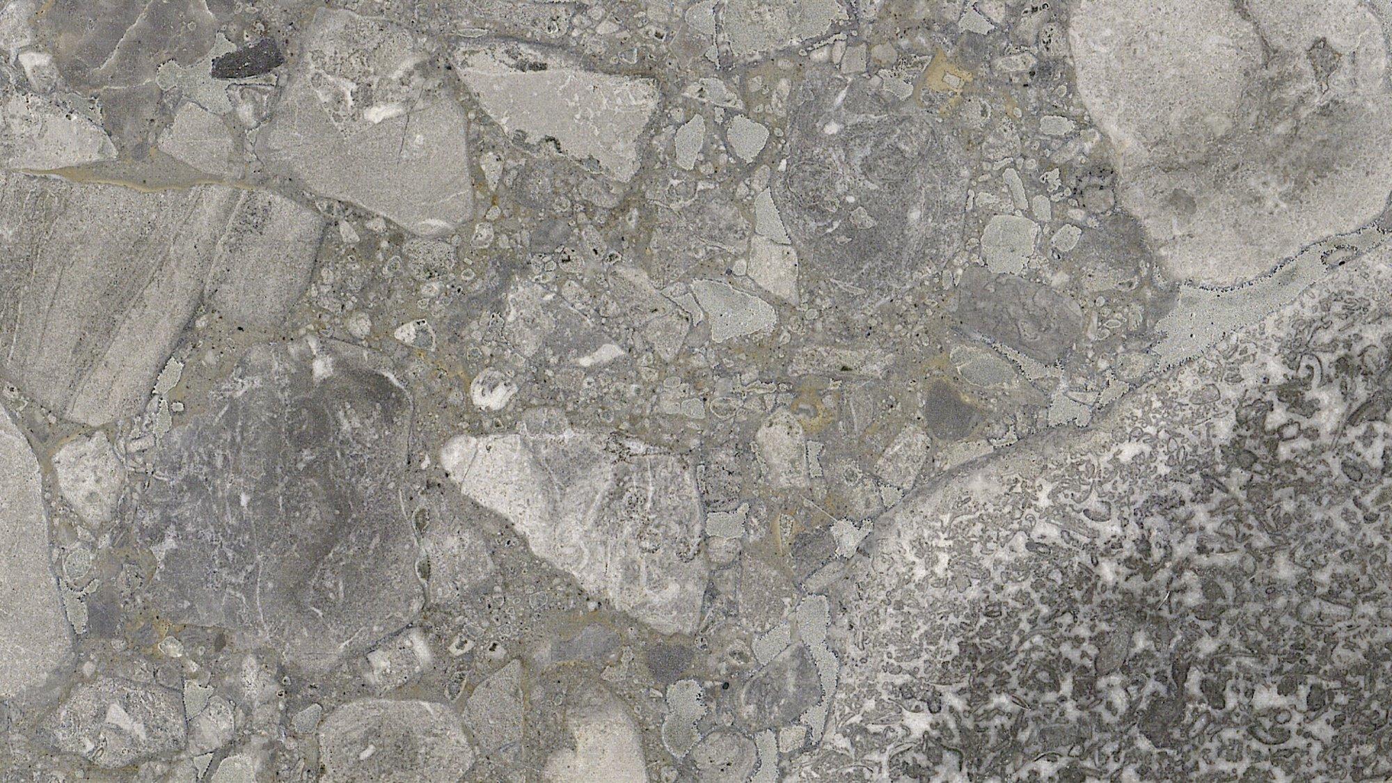 materialImage45557749-ab26-4d50-a149-16f385f42134