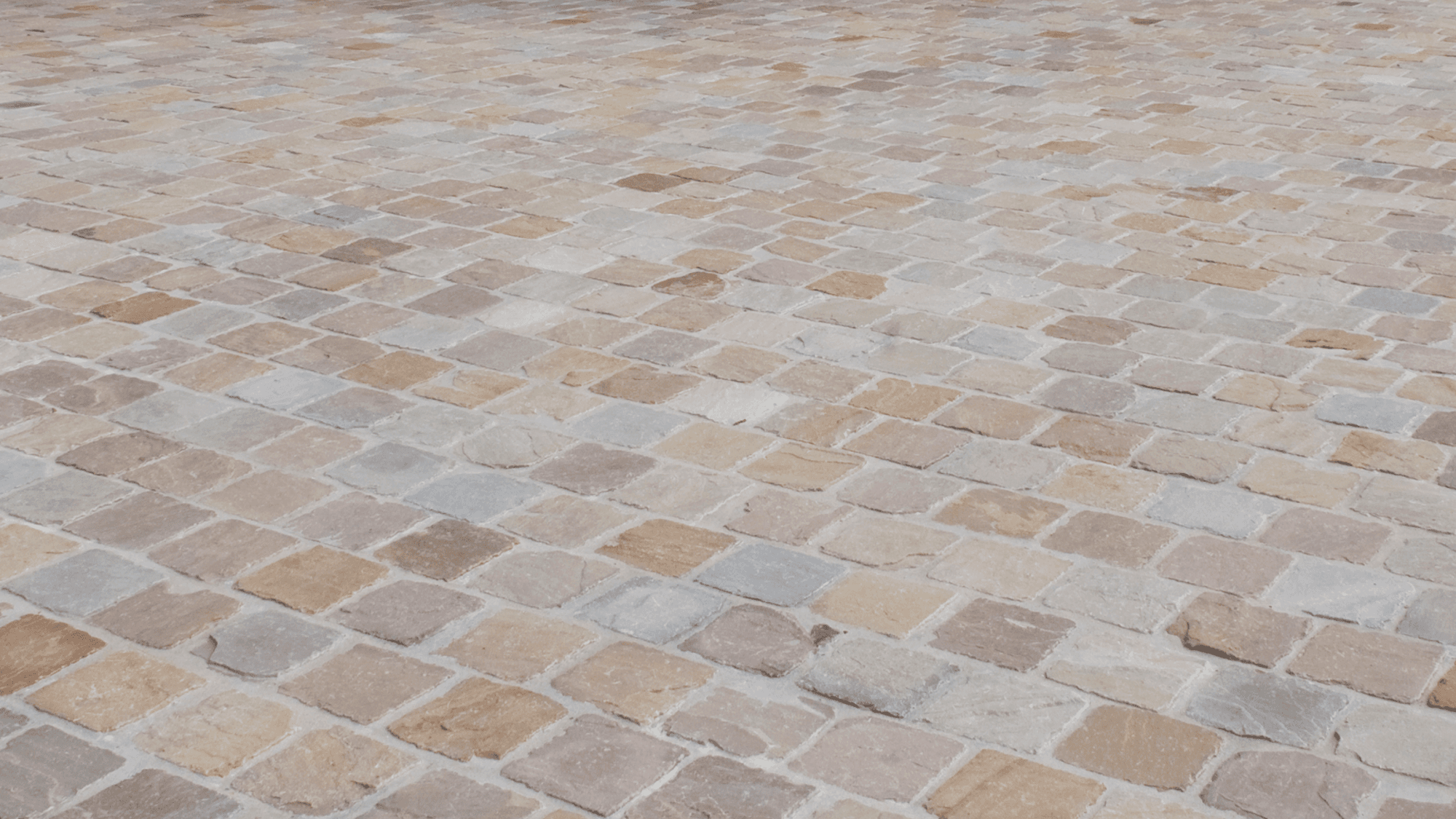 materialImagebcc29c9f-ec2e-4e9f-9539-c17e181b222d