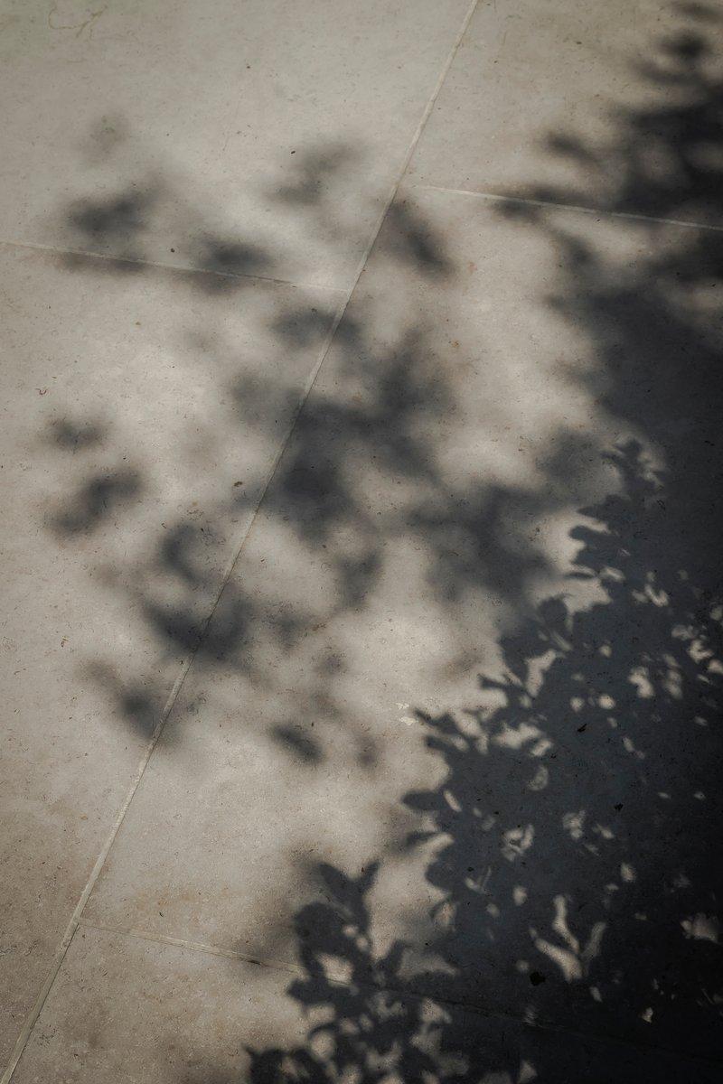 realisationImage14