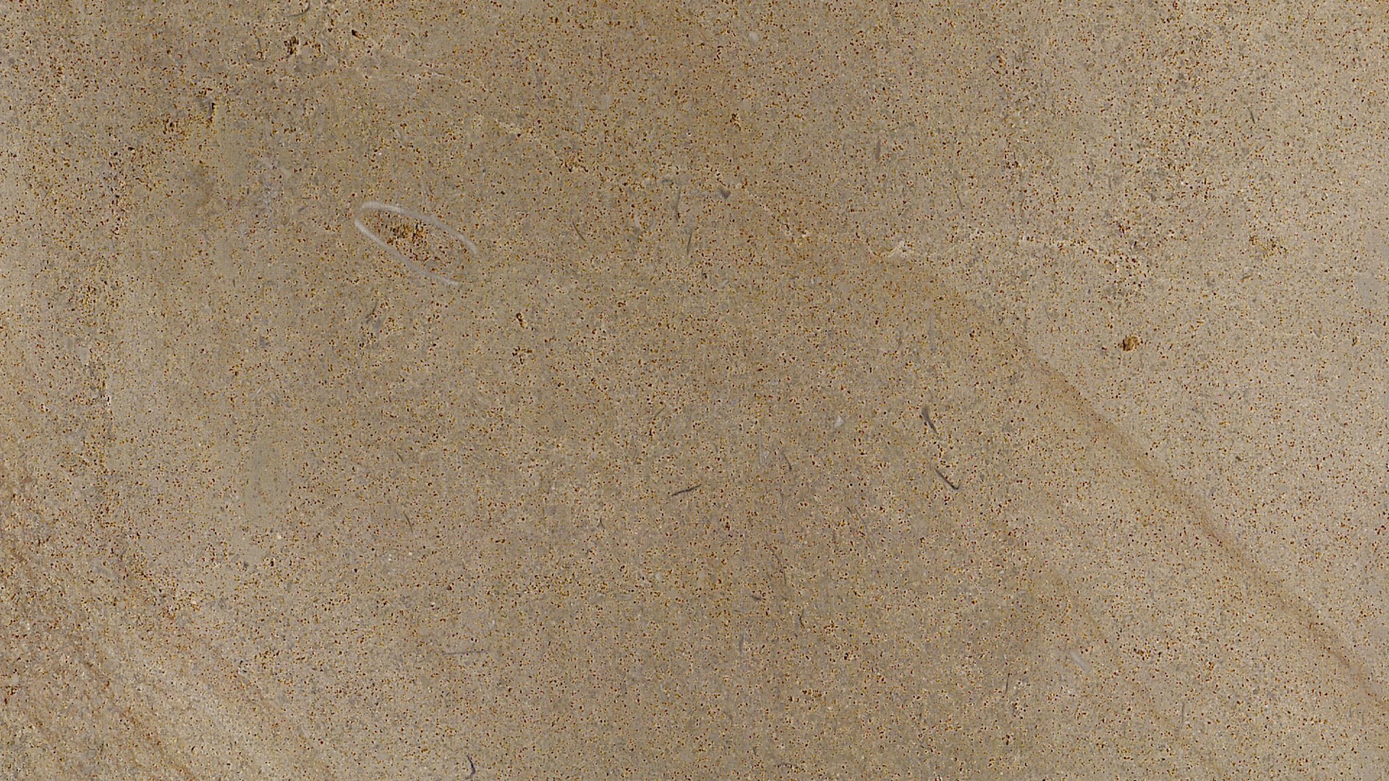 BOISD_image_1