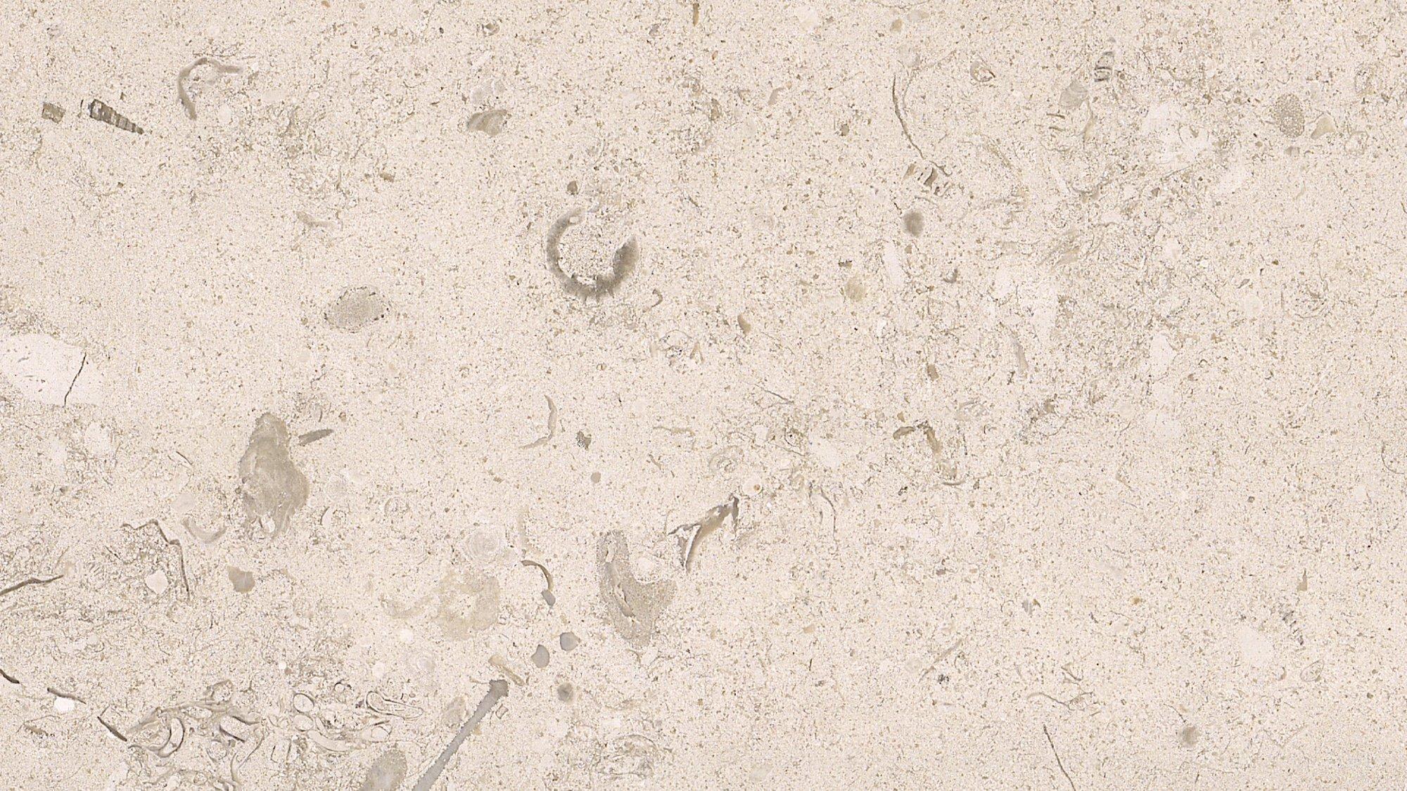 materialImage8ab20828-d589-4514-b1ec-818bc689dce7