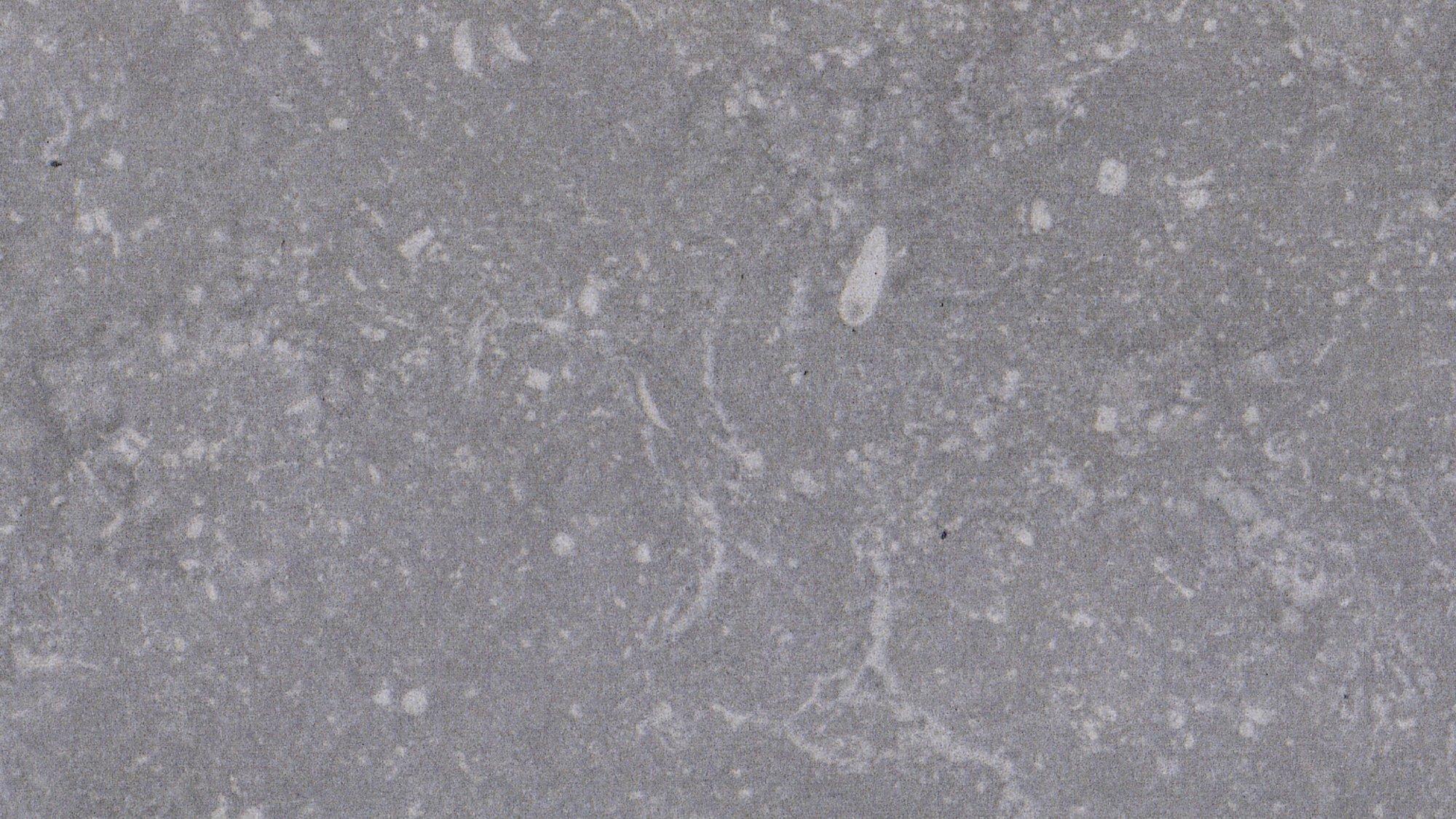 materialImage5d4b8193-e92f-45d9-bf90-4691d23ec83d