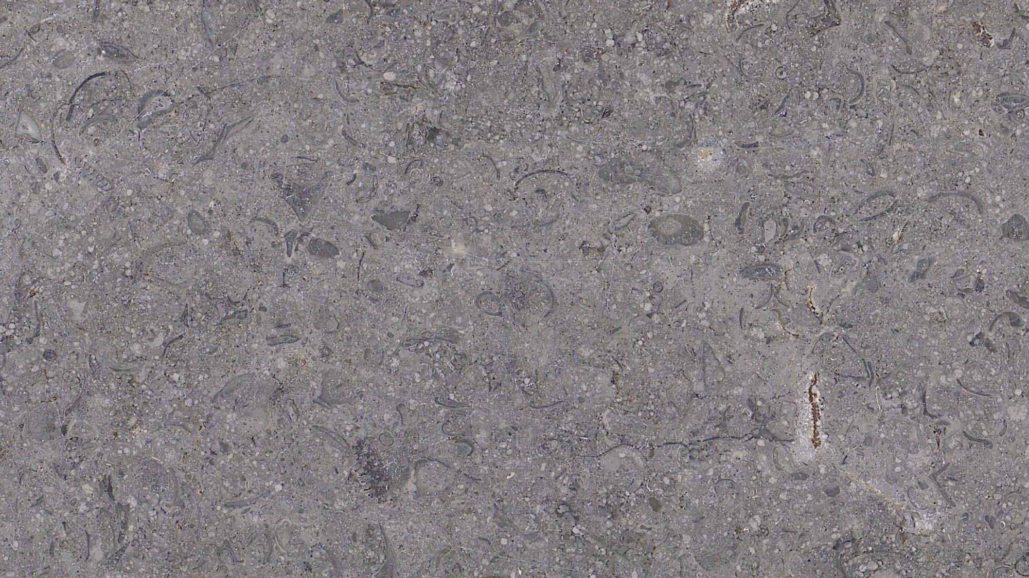 SINAI GREY