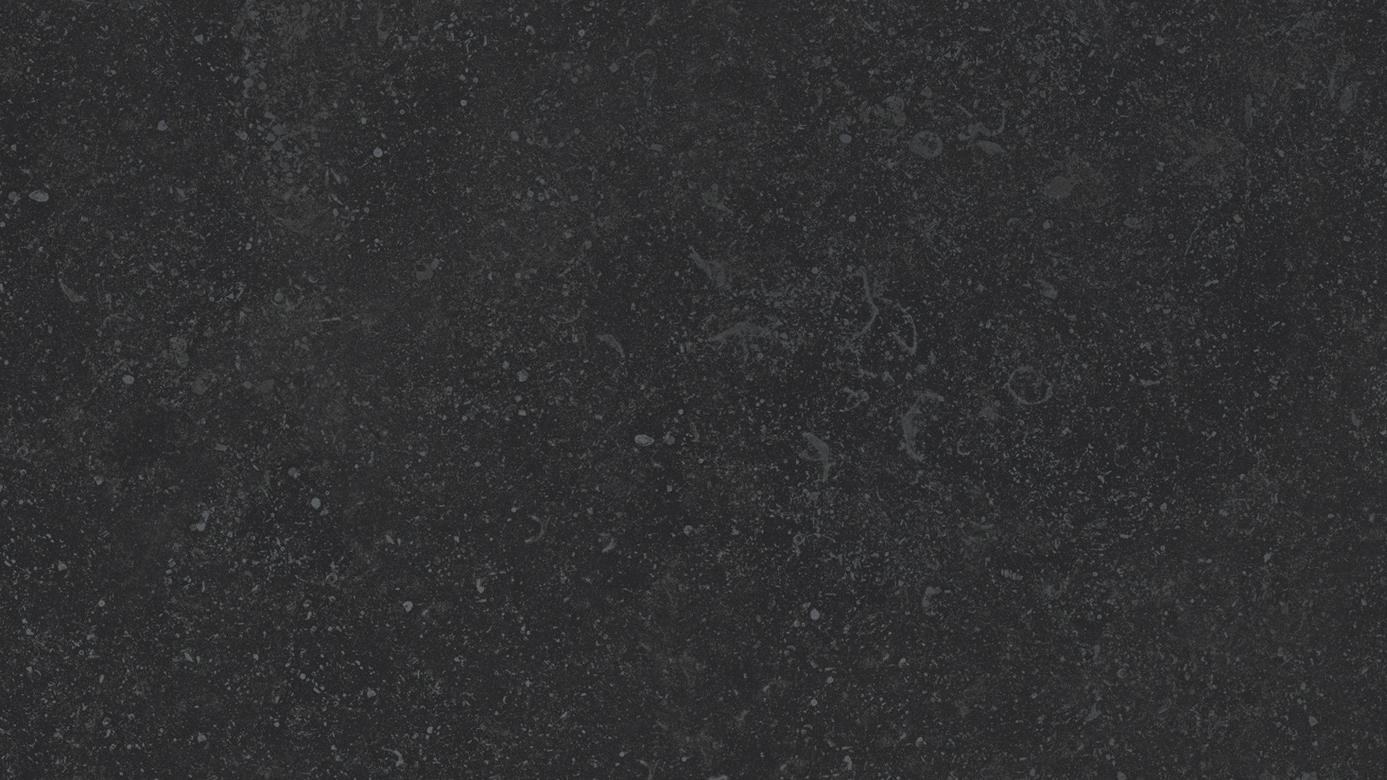 SCBBLA_image_1