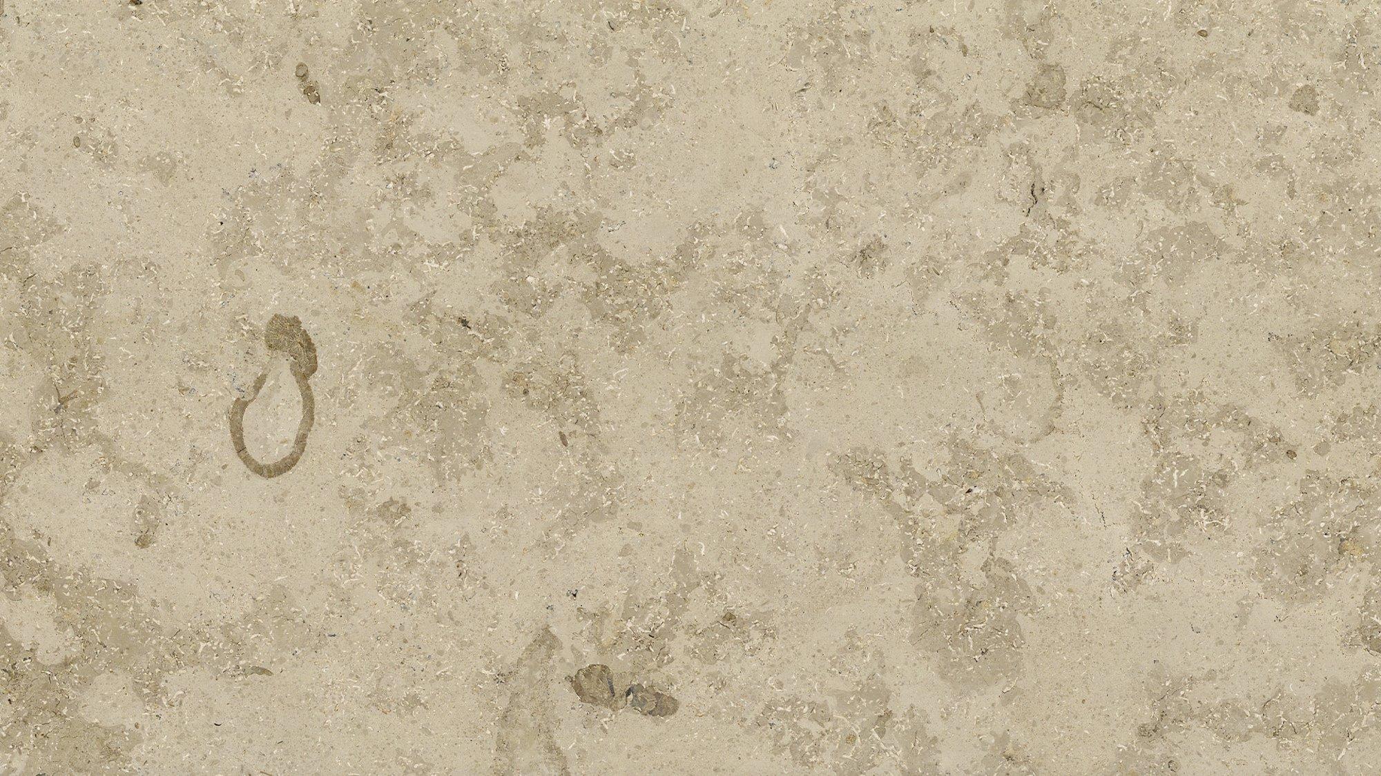 materialImageffd16582-dde6-4d55-ba72-b507bc7d06b3