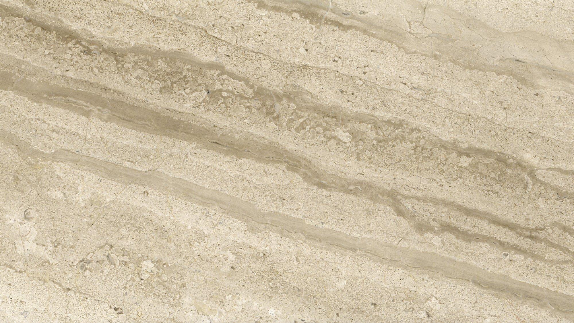 materialImagef9d8f2c6-46f6-431e-b8a1-a24dc318ae3b