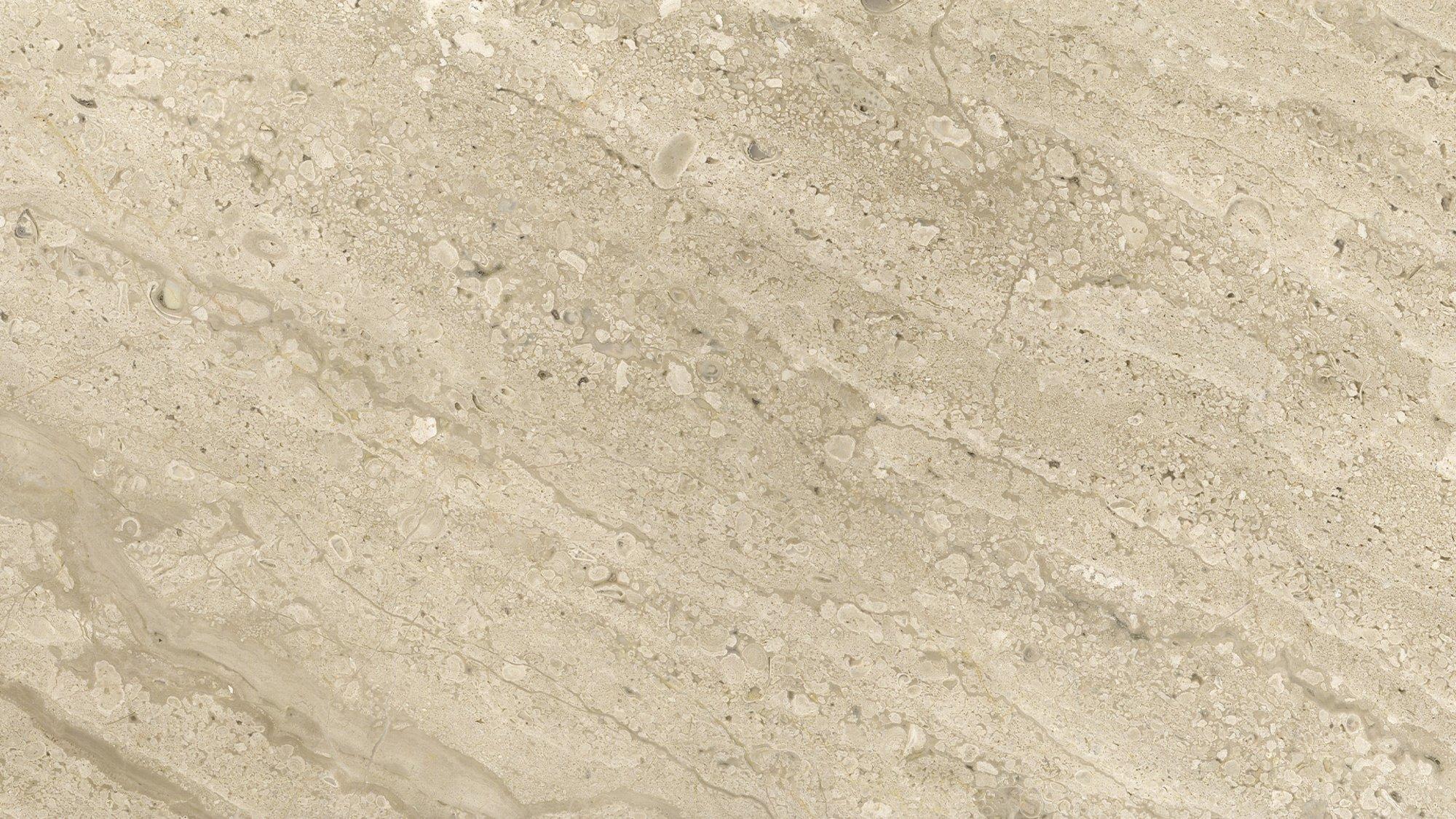 materialImageeea050b8-a591-4c8f-863a-1efd41aedd4c