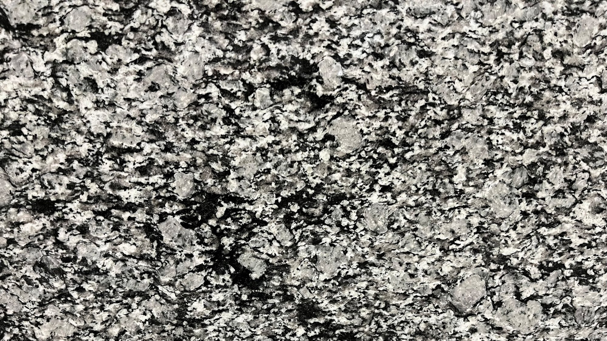 PLATIN_image_2