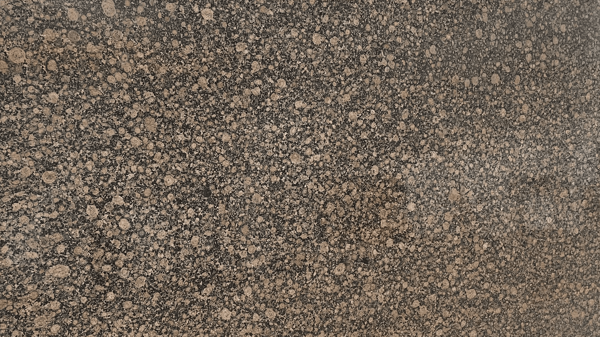 BALT_image_1