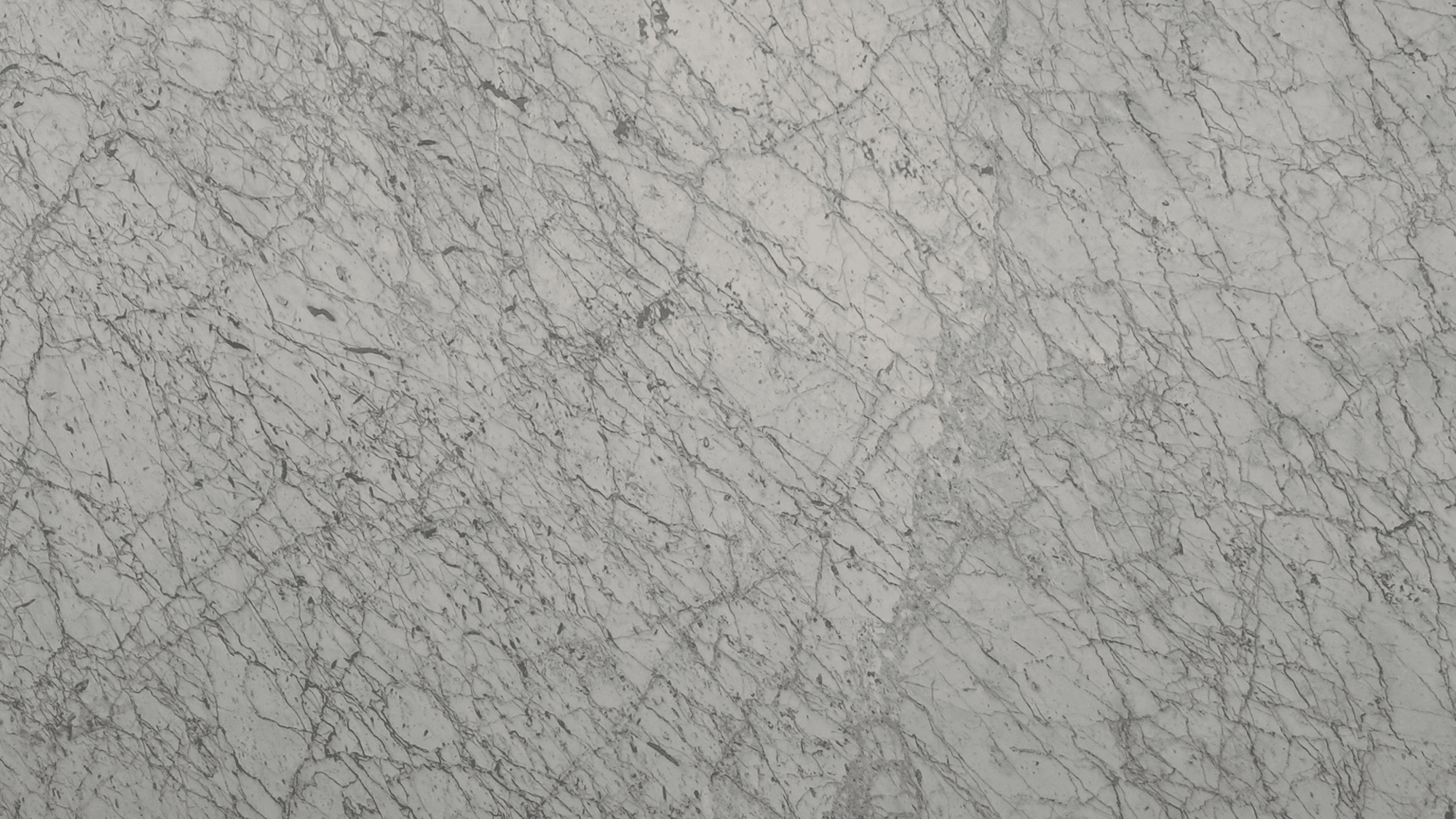 BIANCO CARRARA VENATO