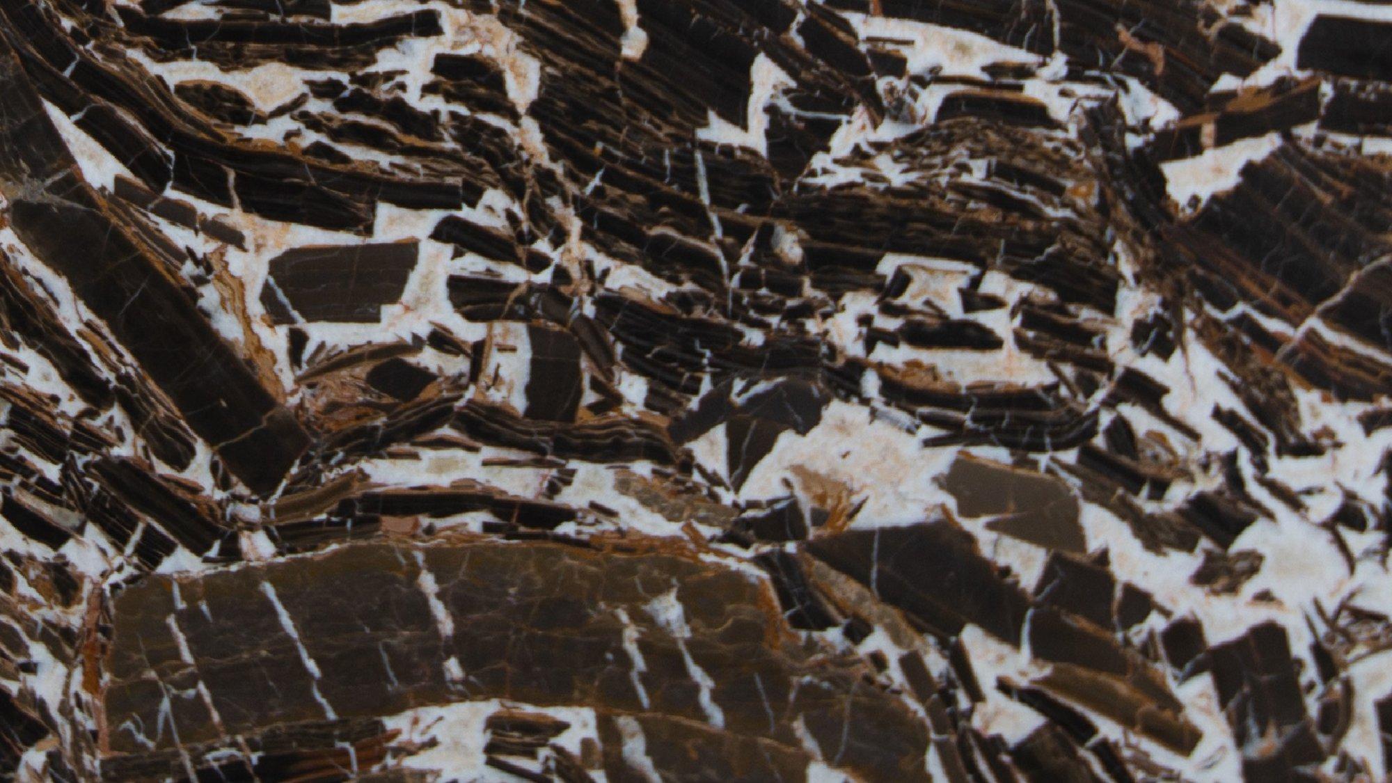 GAUDI BROWN