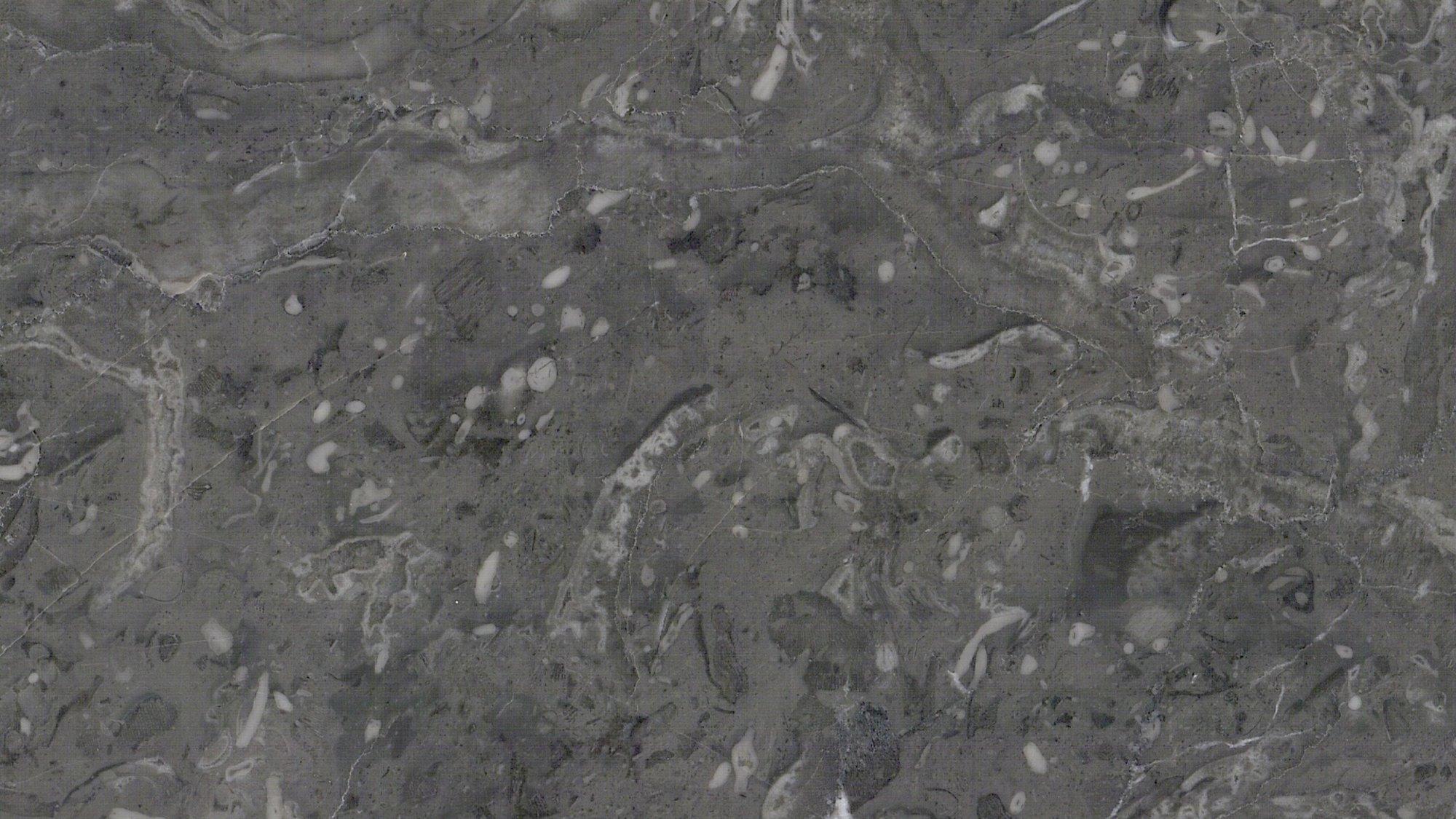 materialImage50010fdf-7b68-469a-932c-08f15268c07d