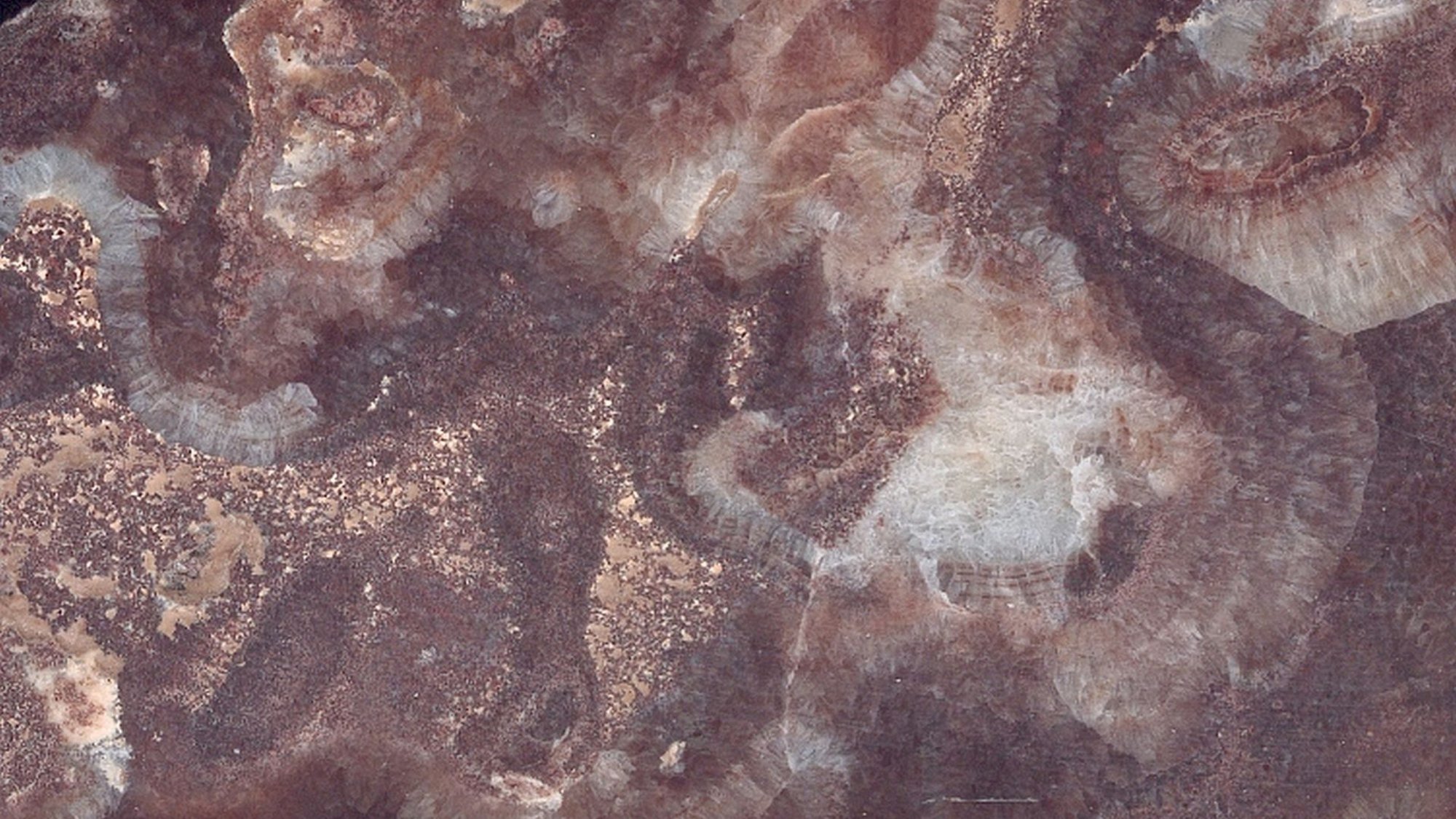 ONYXVI_image_0