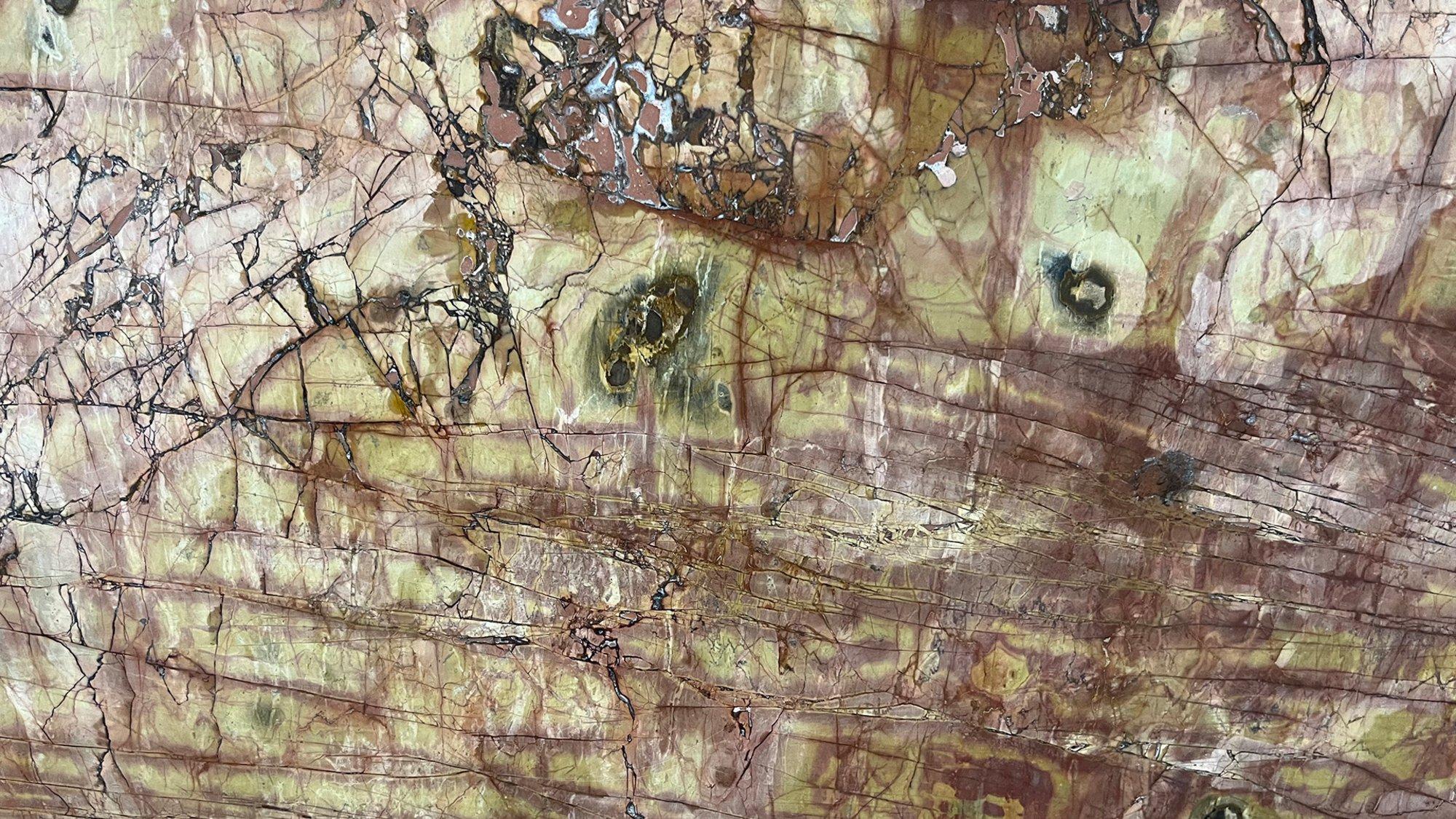materialImage2e9ad78c-28cb-4ab2-82b6-6e8d33c50b8c