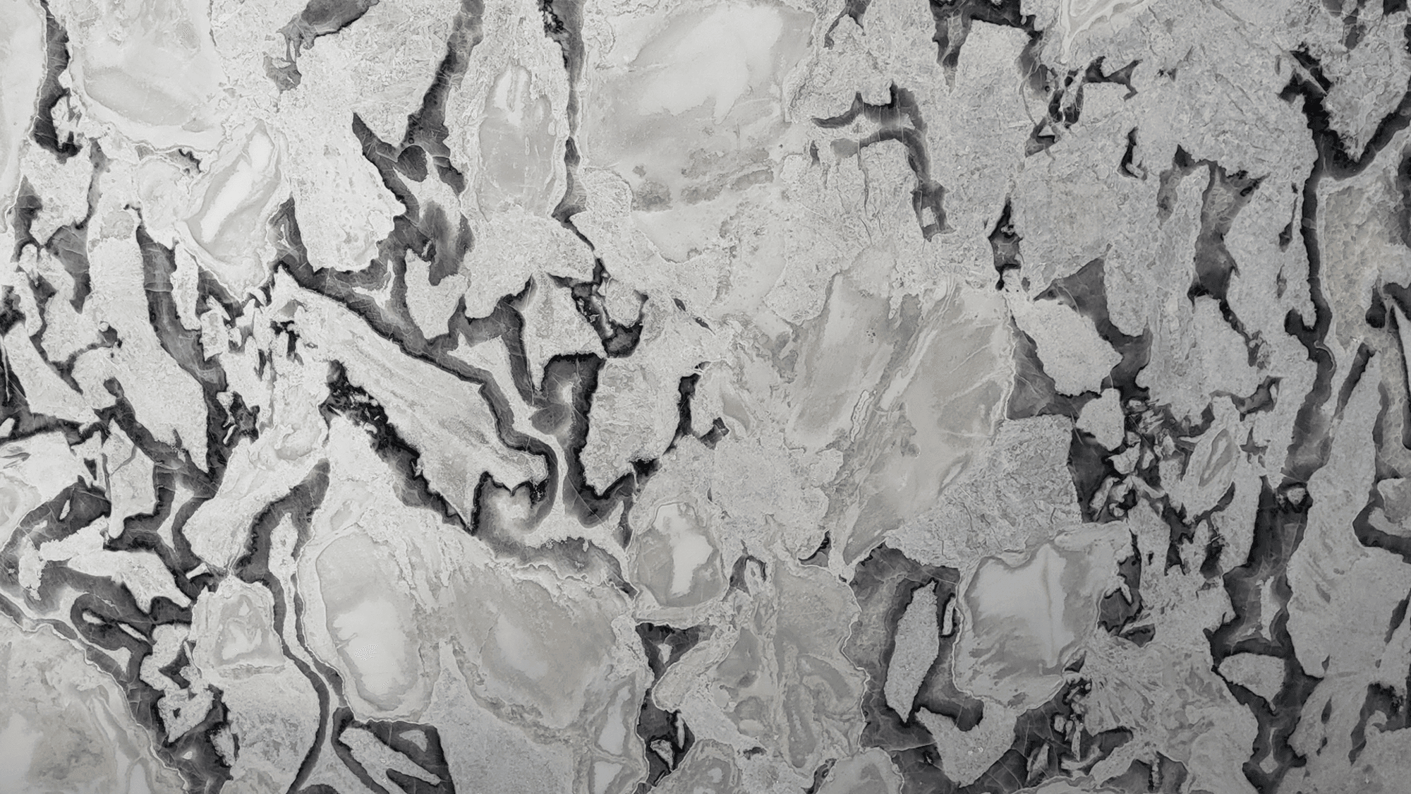 DOVER WHITE / OYSTER