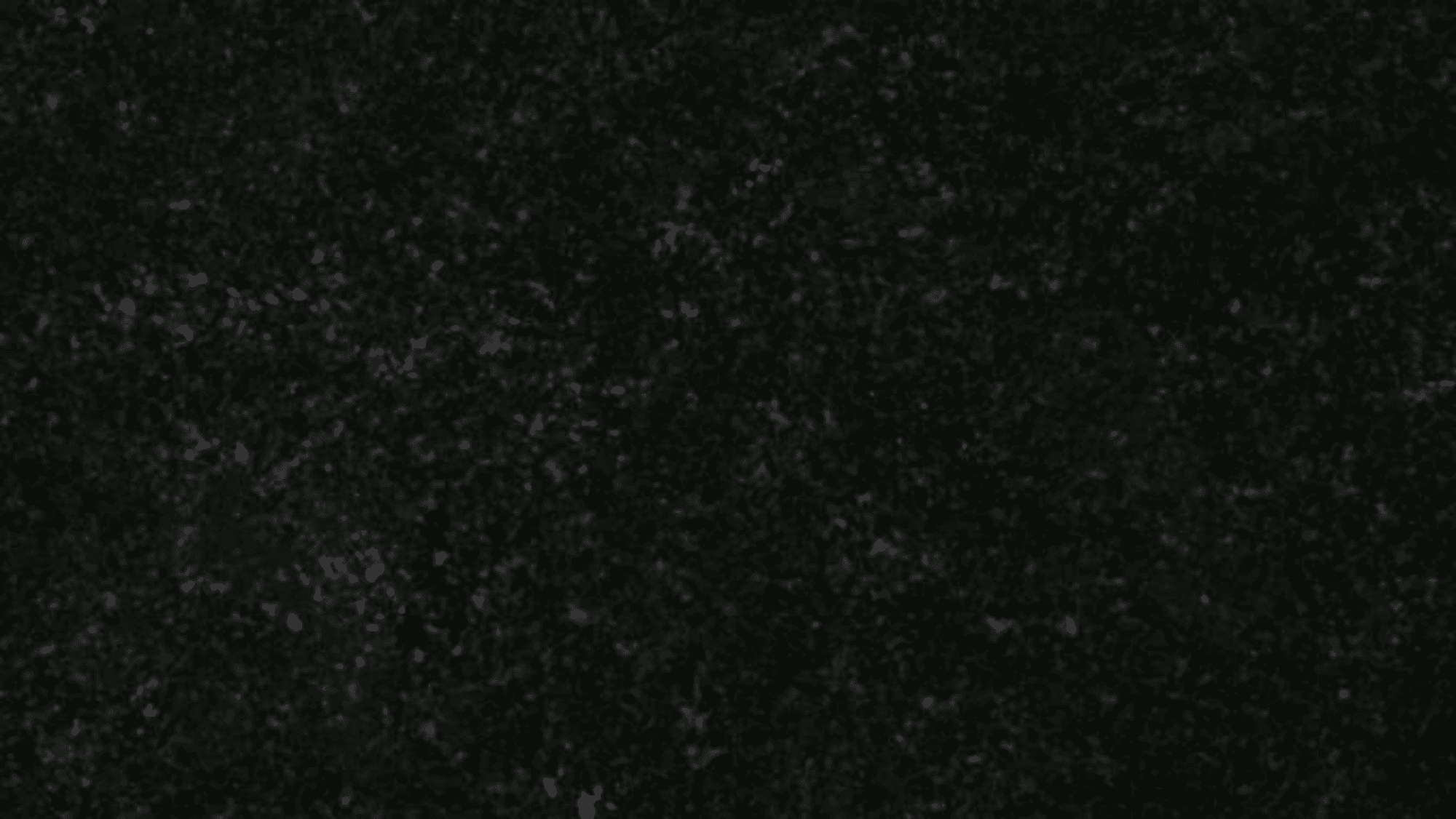ZIMBABWE BLACK EXTRA