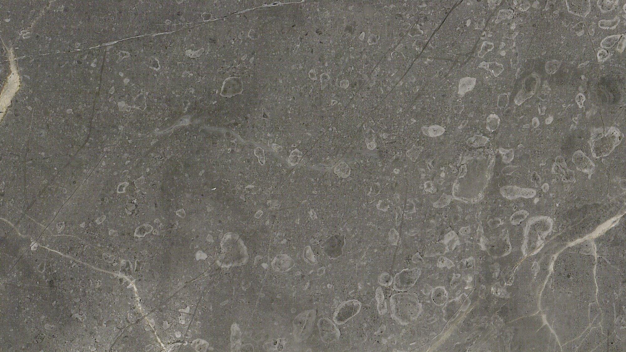 materialImage1d96f259-72d9-463e-951b-0851037ab0bb