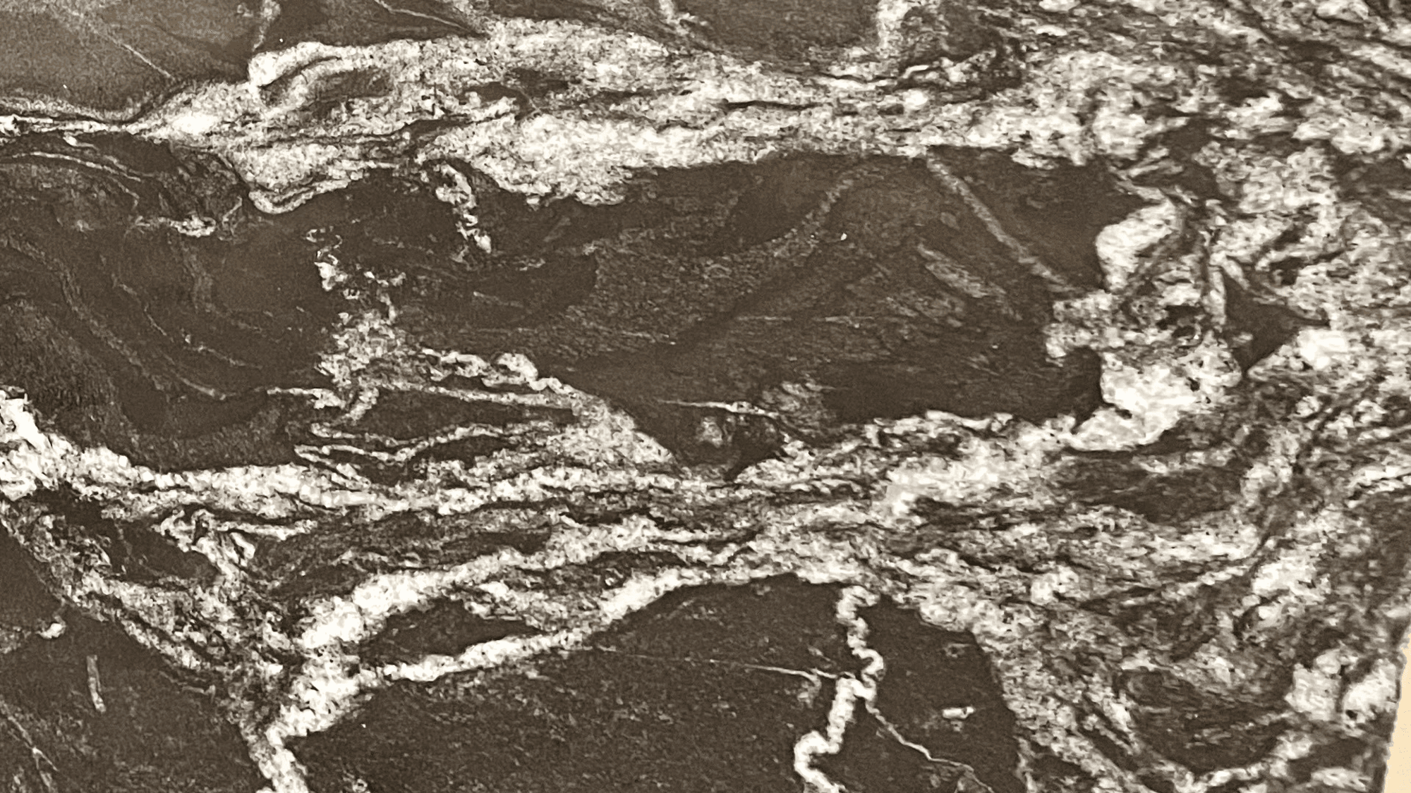 BLACK WAVES - BLACK FORREST