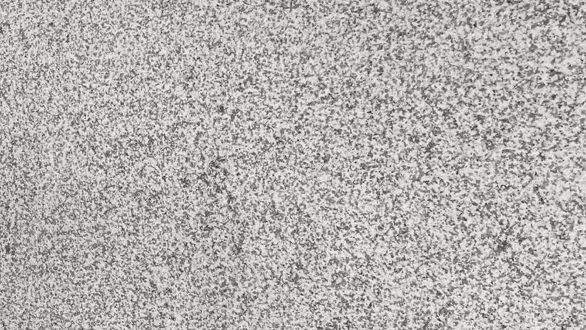 FUJIAN GREY