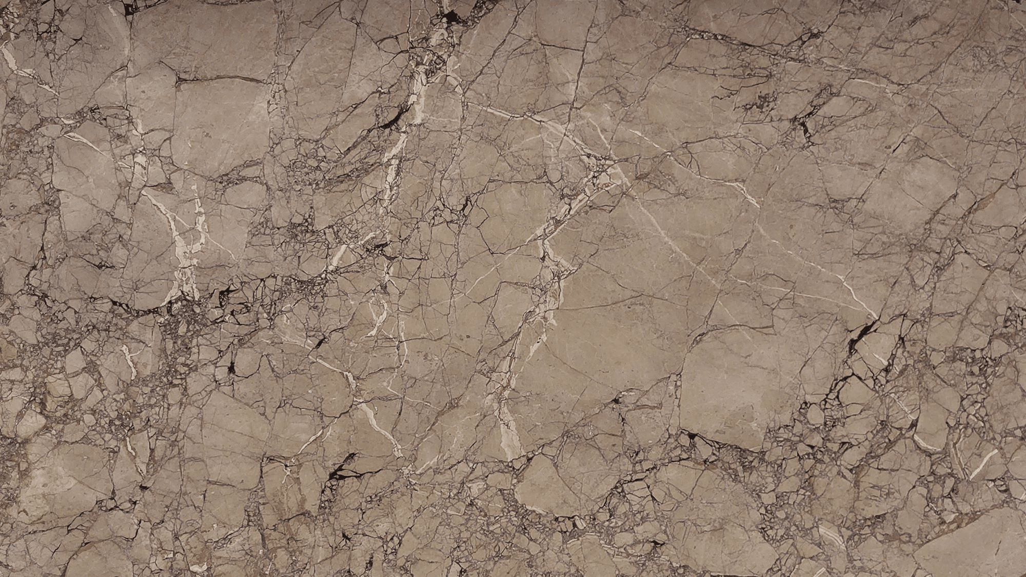 BRECCIA PERNICE