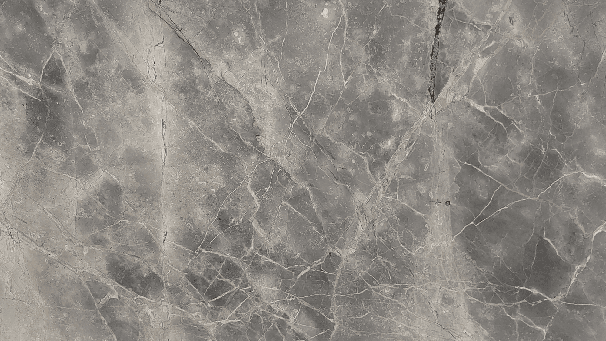 materialImagec01f02a9-c7d2-4182-8153-e0897a153566